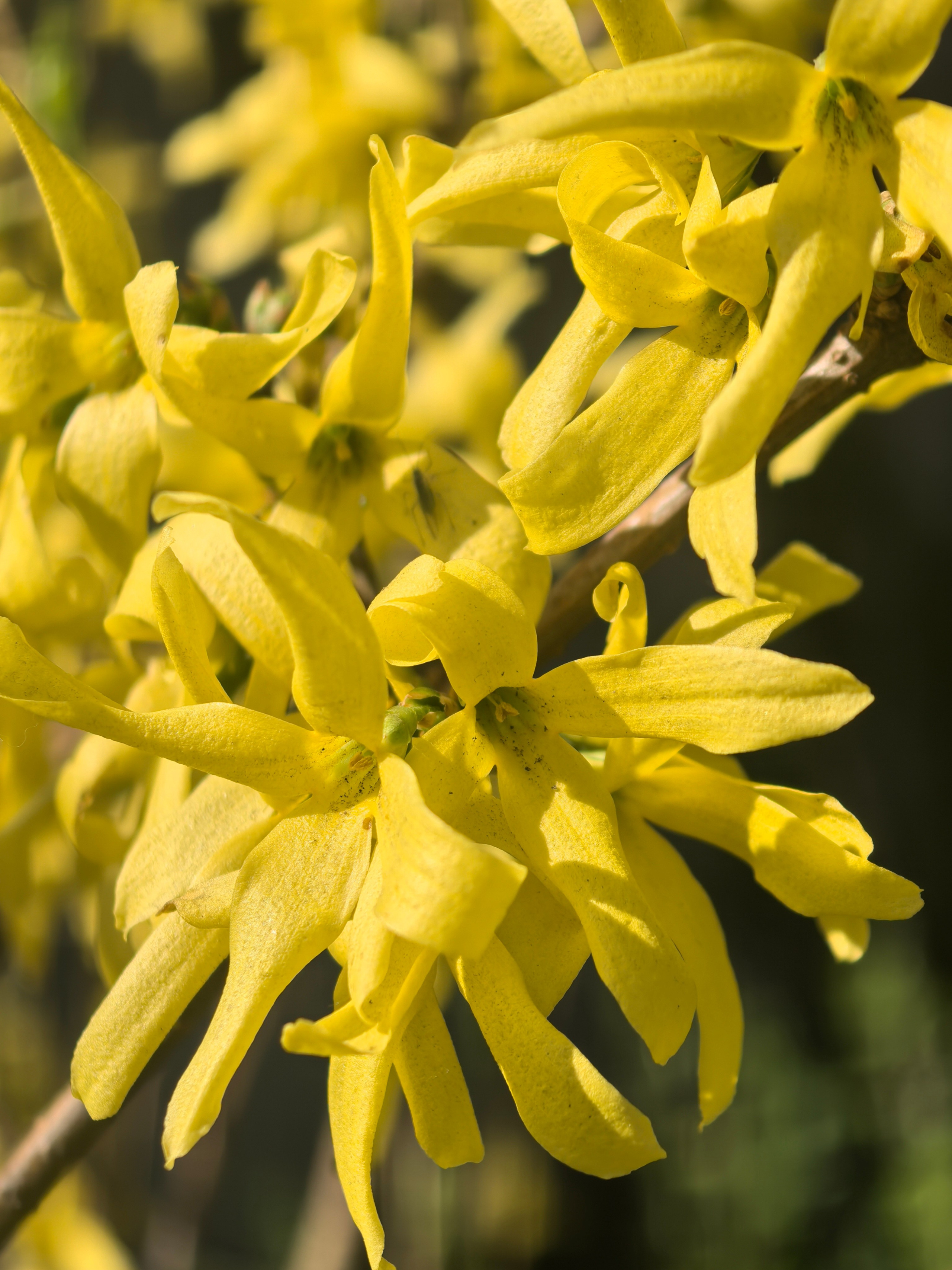 ПочтиМАКРО. Школьные выпускные альбомы в Москве Марина Николаева