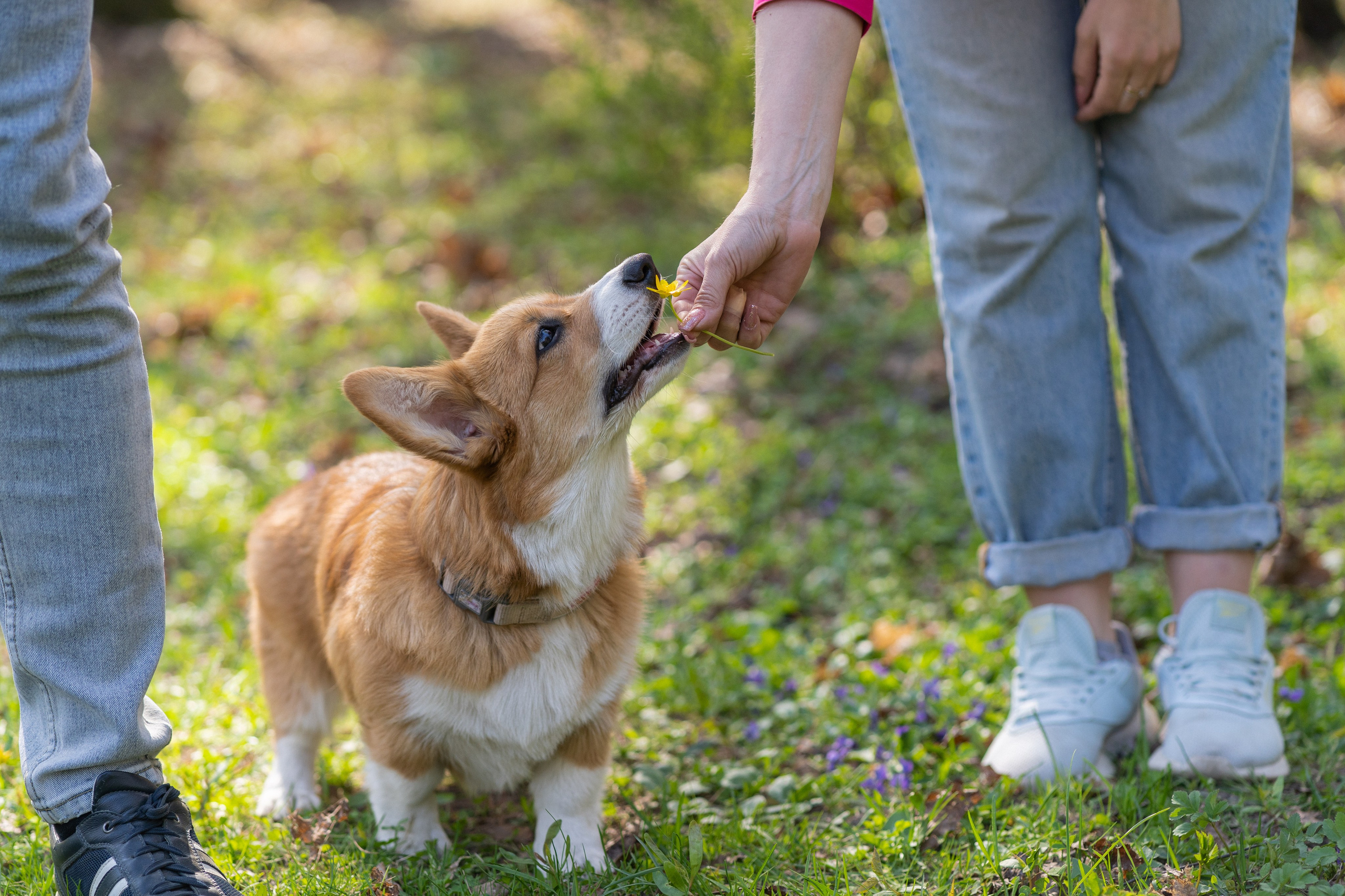 Саша, Настя, Луна. Свадебный фотограф в Москве Анна Полушина