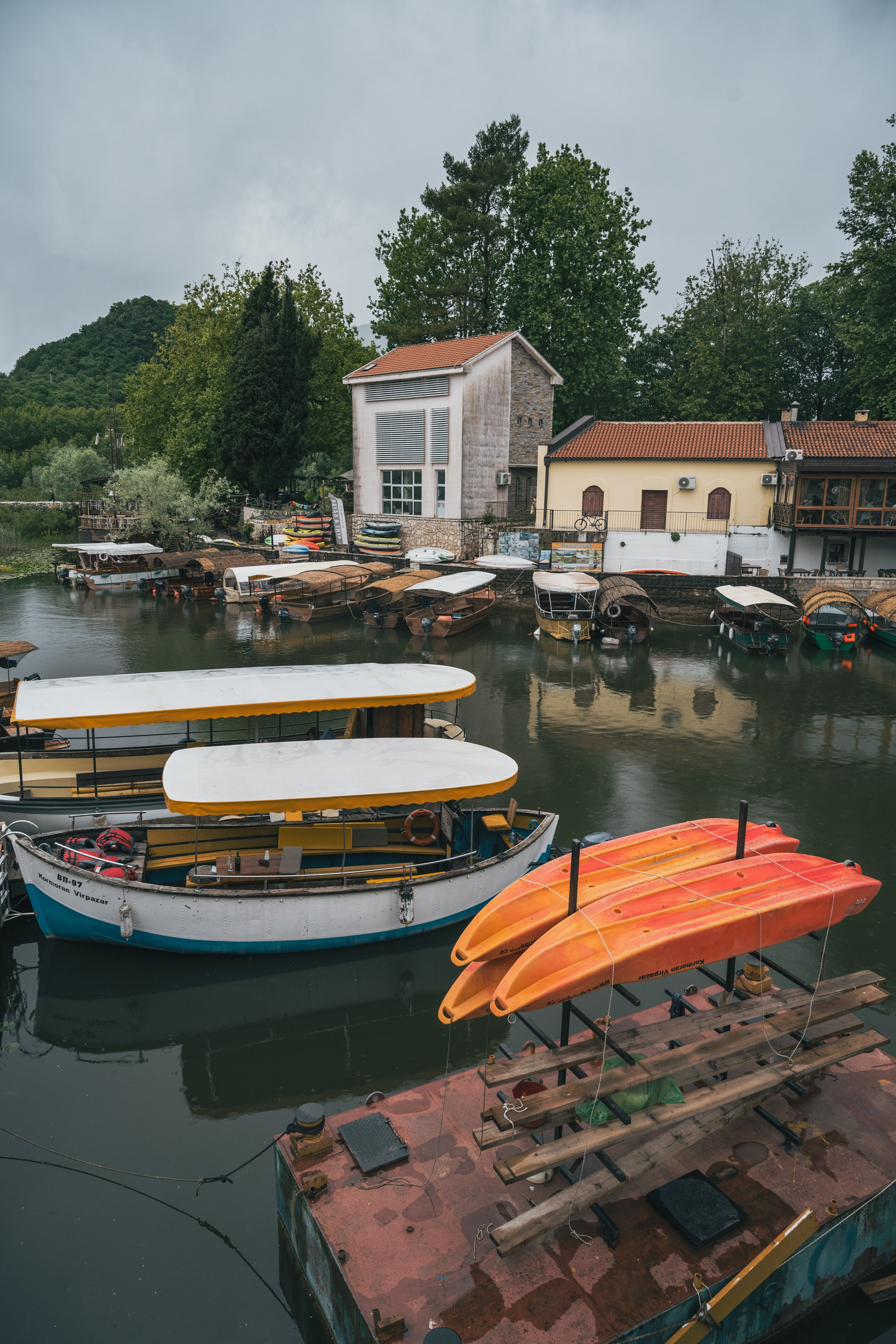СКАДАРСКОЕ ОЗЕРО. ЧЕРНОГОРИЯ. Фотограф в Белграде Чугреева Елена