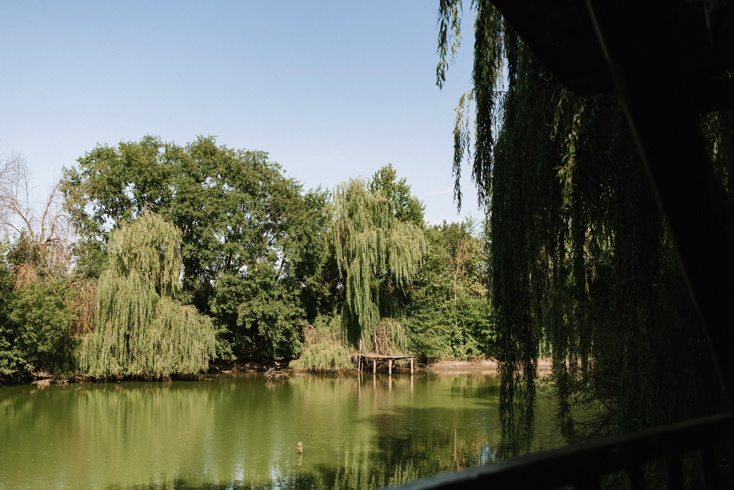 Петр и Катерина. Фотограф Костикова Анастасия Ростов-на-Дону