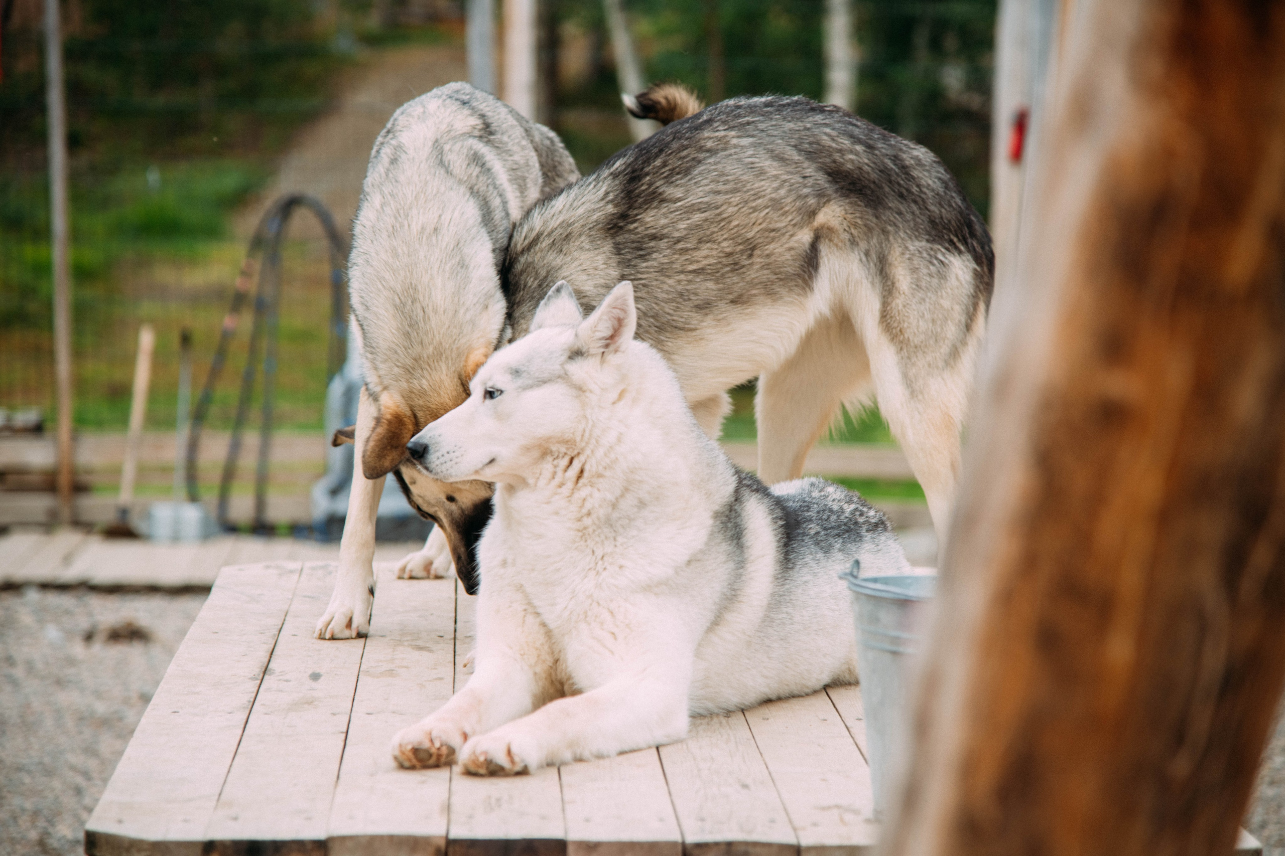 Кольский полуостров. Фотографирую для себя, своей семьи и друзей!