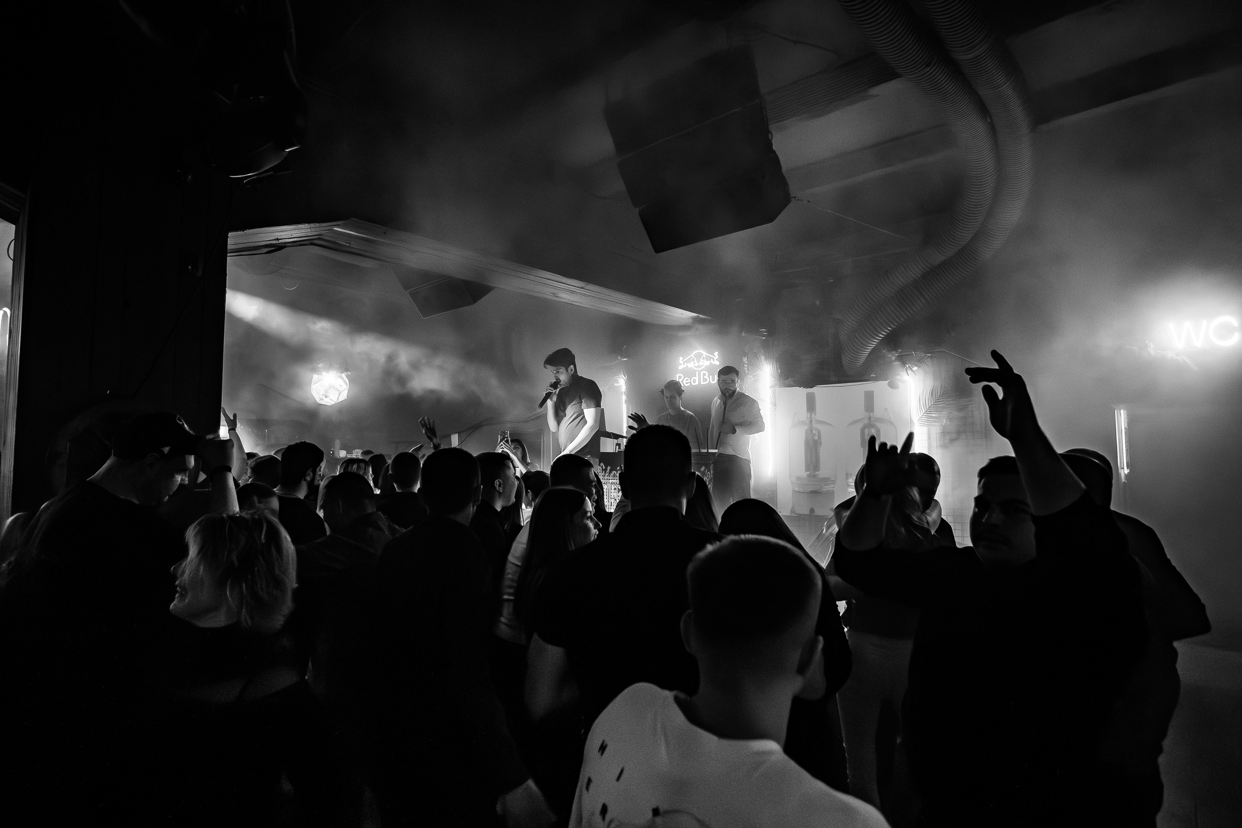 «Мартовские коты"_Tortuga_Симферополь_29.03.2025. Аминов Руслан | Фотограф