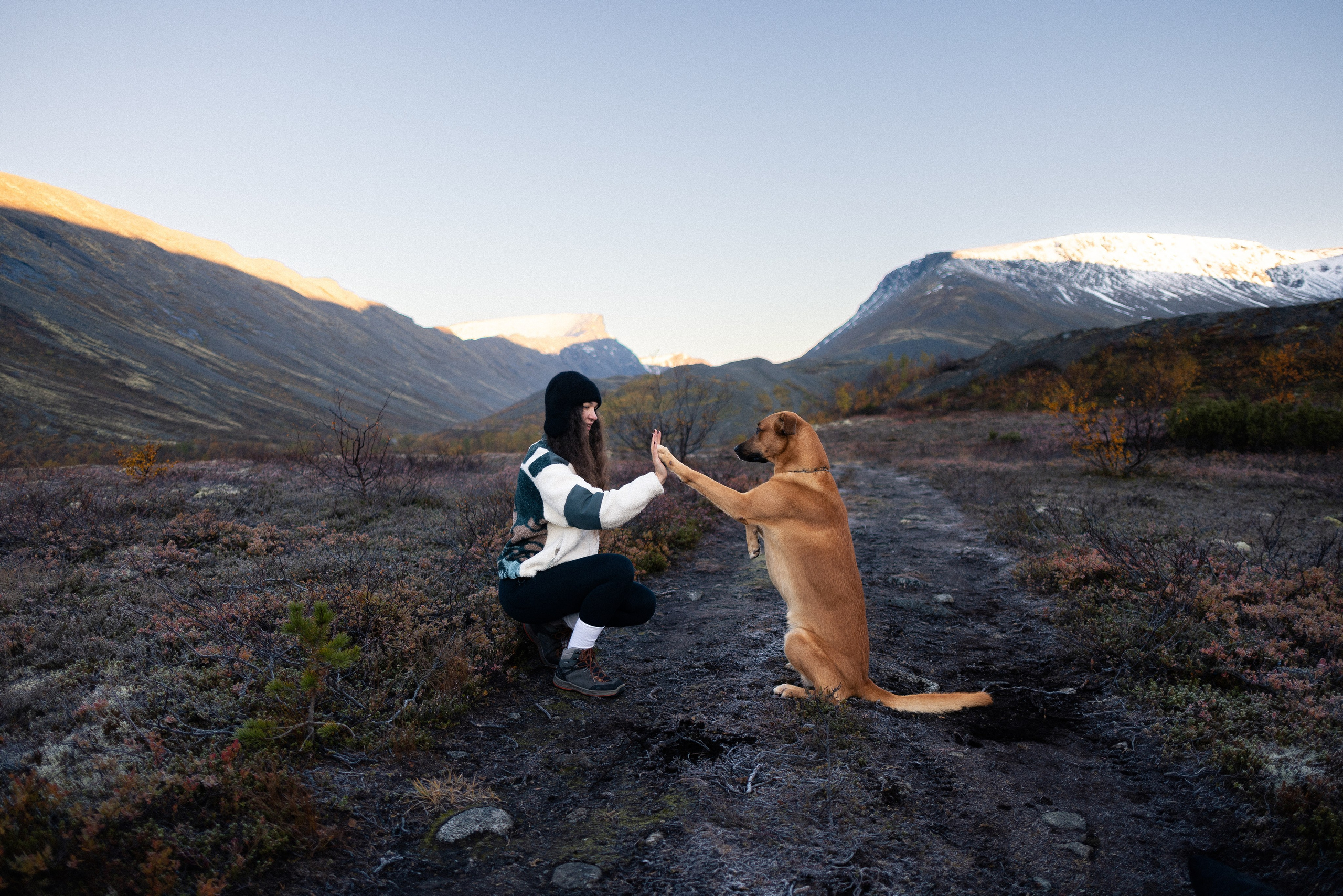 Кольский. Фотограф и видеограф анималист Аганина Дарья