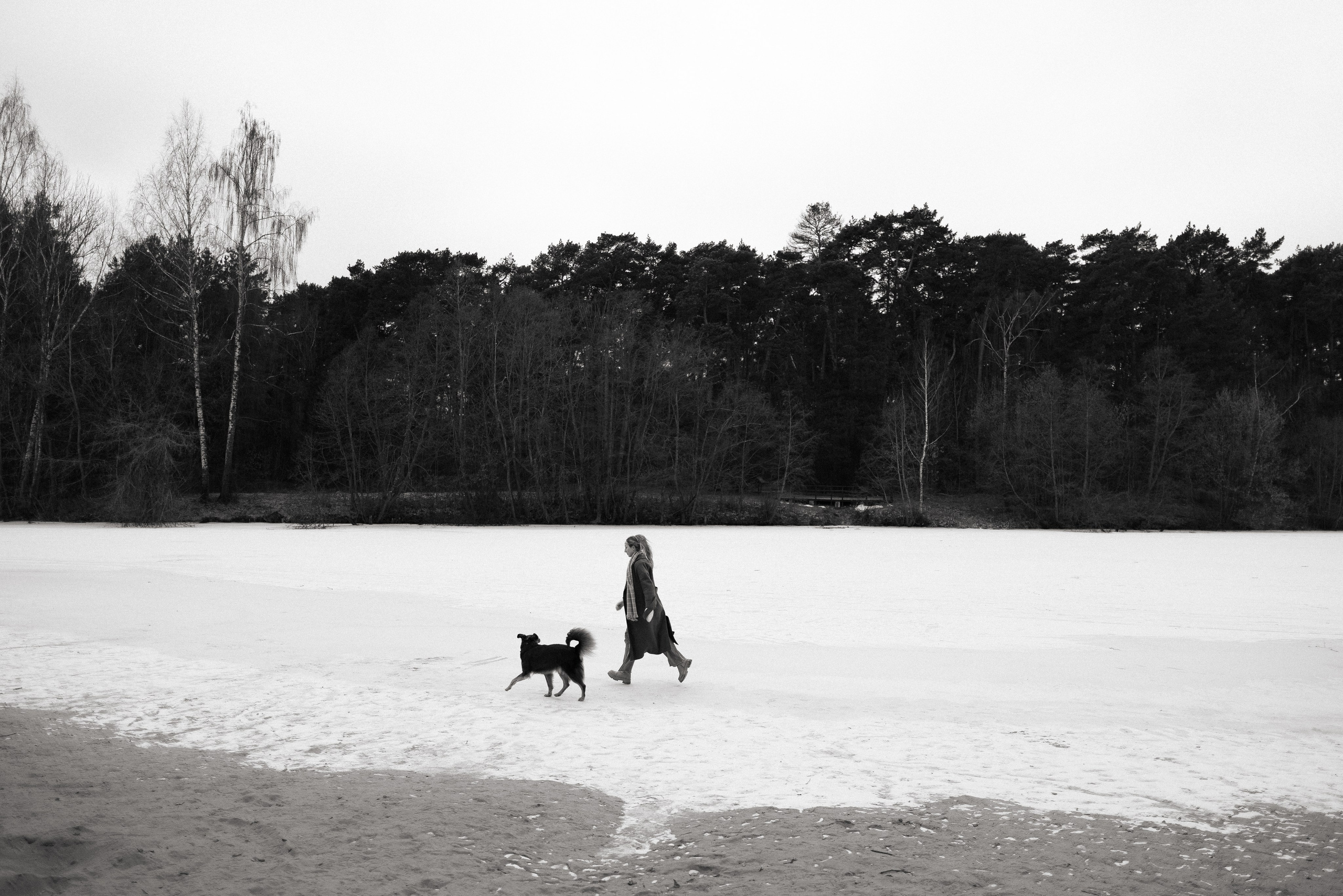 Катя и Мёд. Фотограф и видеограф анималист Аганина Дарья