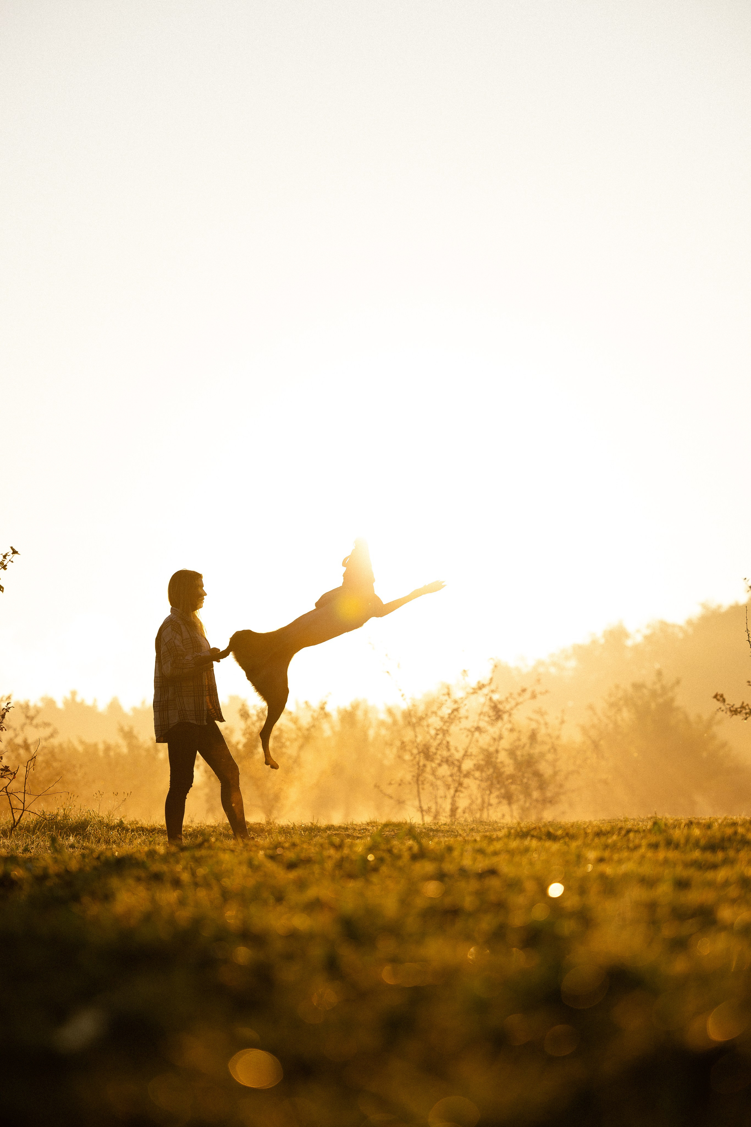 Галина и Кодекс. Фотограф и видеограф анималист Аганина Дарья