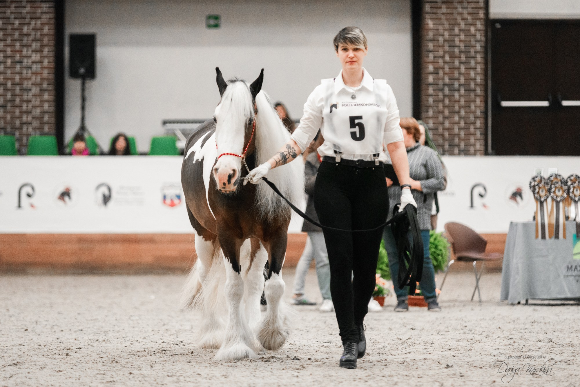 8-я международная выставка Конная Россия. Конный фотограф Куракина Дарья • Фотосессии с лошадьми
