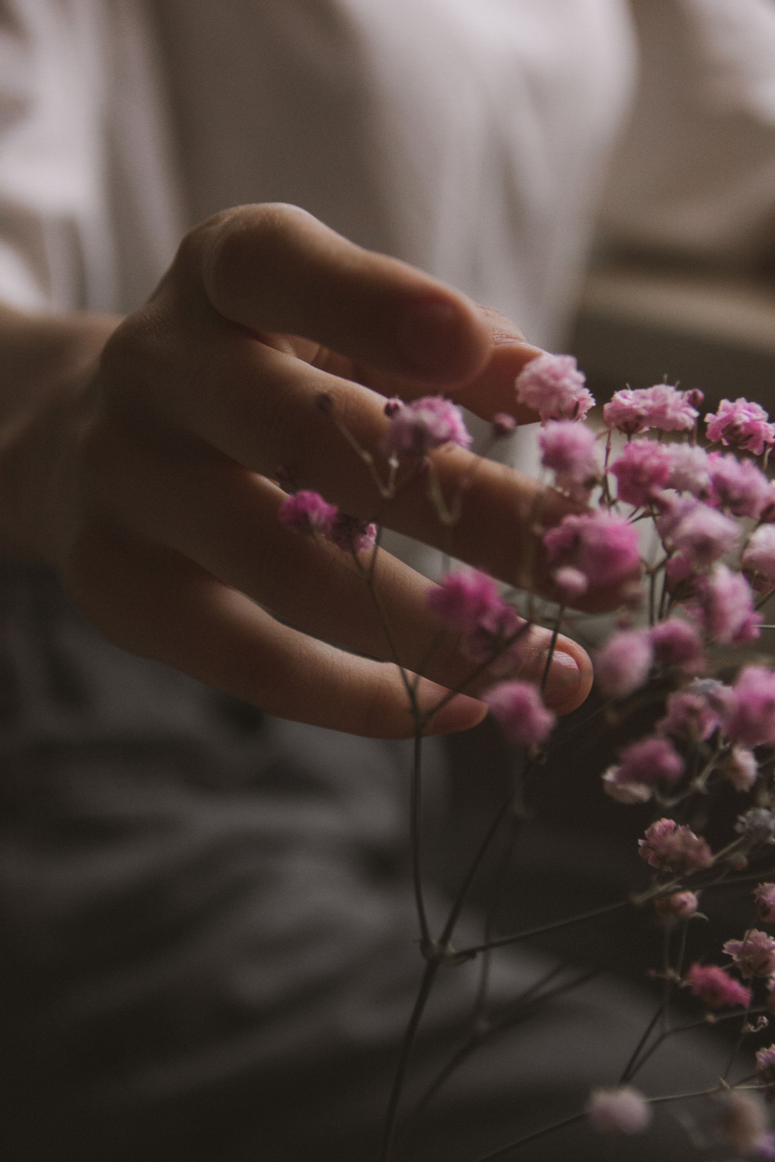 VALERIA 2023 étude. Фотограф Санкт-Петербург, Новороссийск