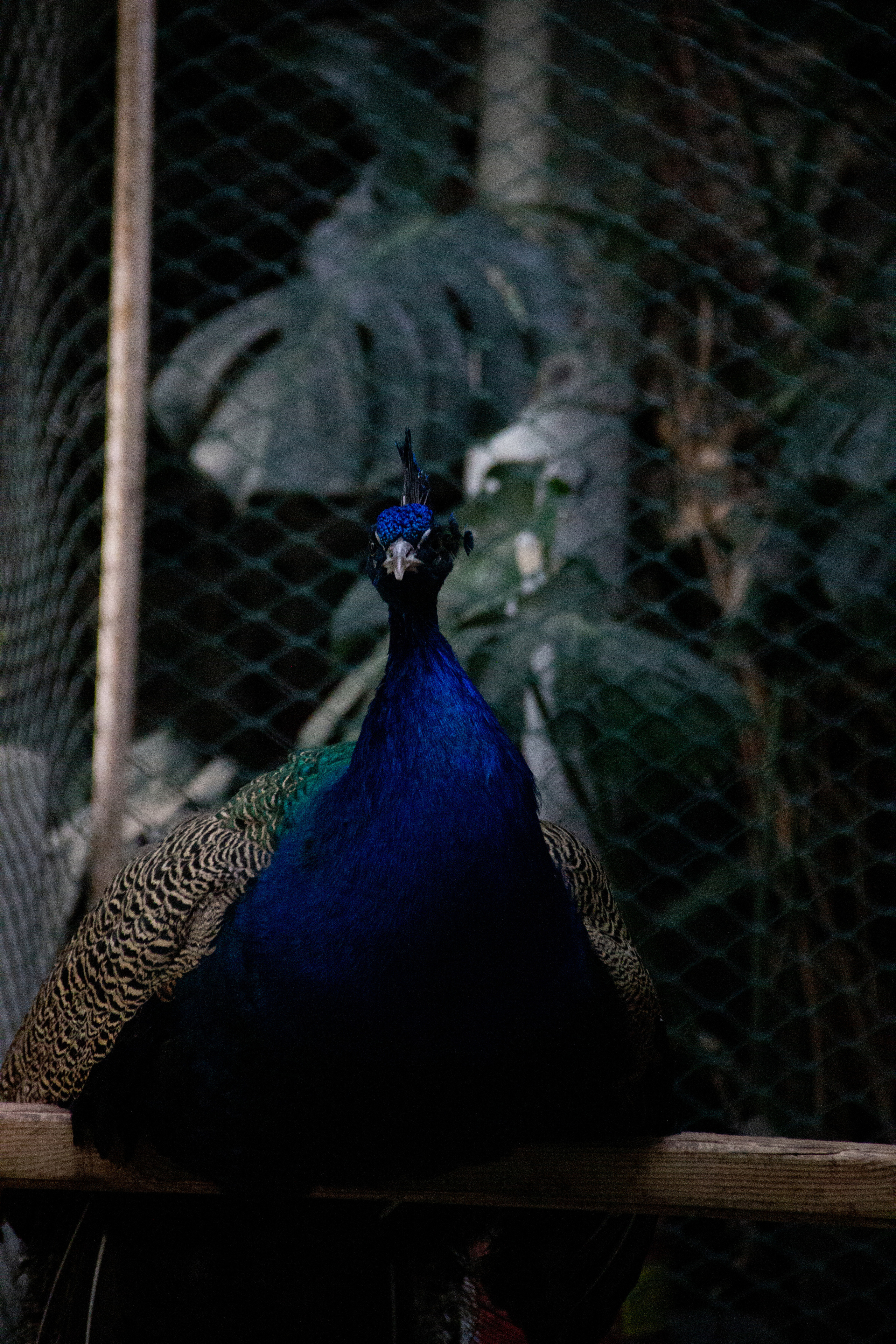 OLGA 2023 étude. Фотограф Санкт-Петербург, Новороссийск