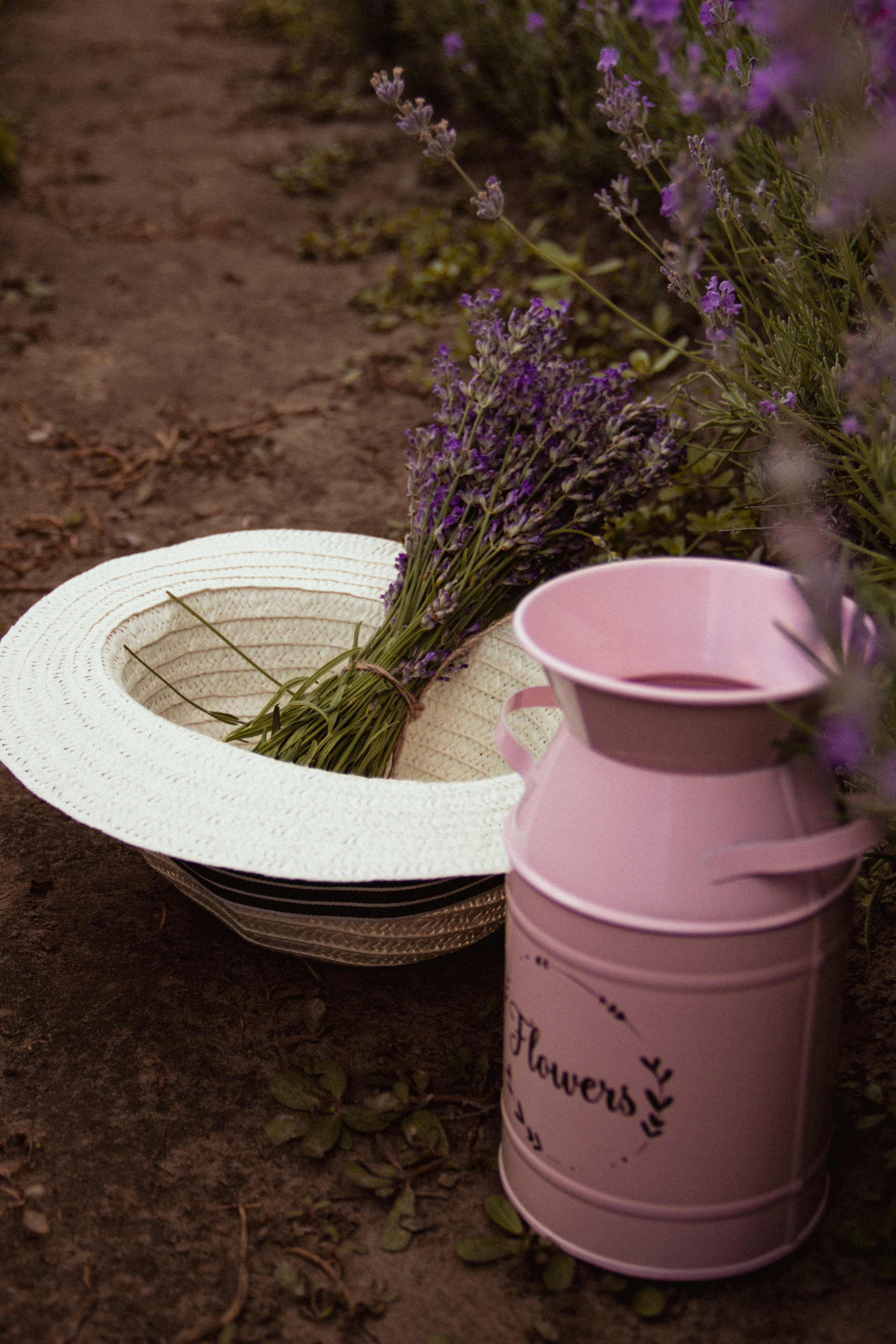 FROL 2023 étude. Фотограф Санкт-Петербург, Новороссийск