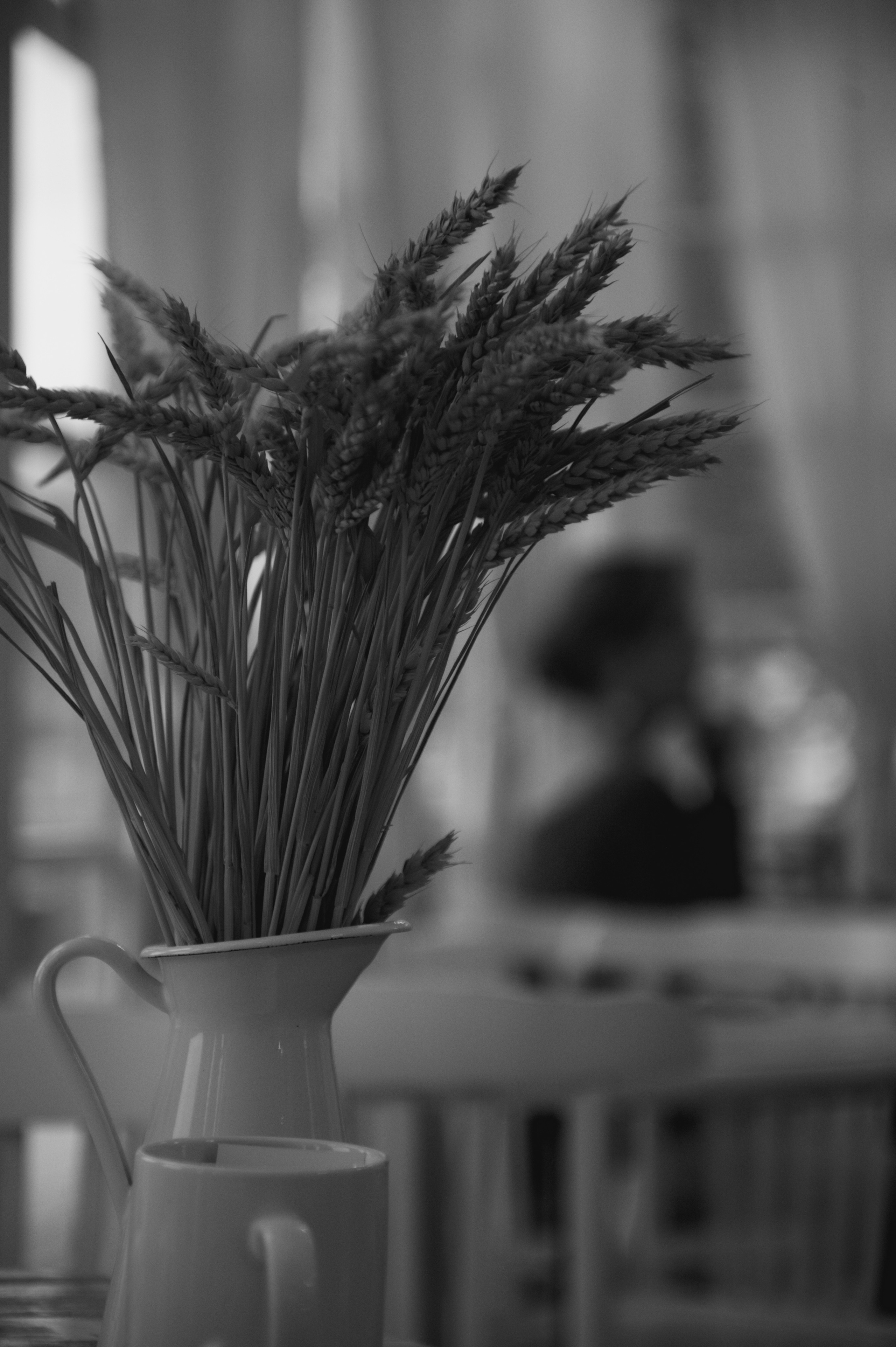 EVGENIA 2023. Фотограф Санкт-Петербург, Новороссийск