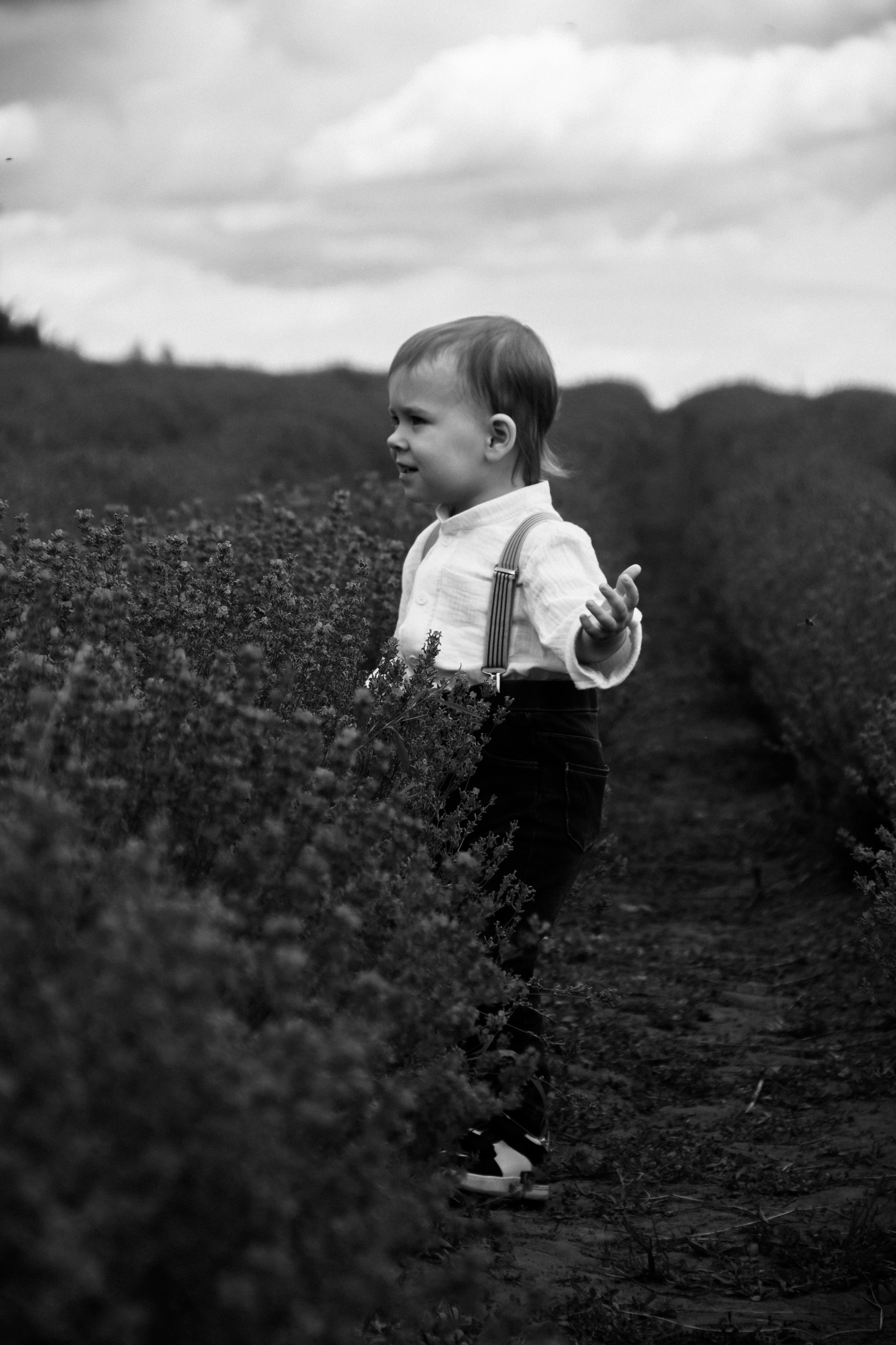 FROL 2023 étude. Фотограф Санкт-Петербург, Новороссийск