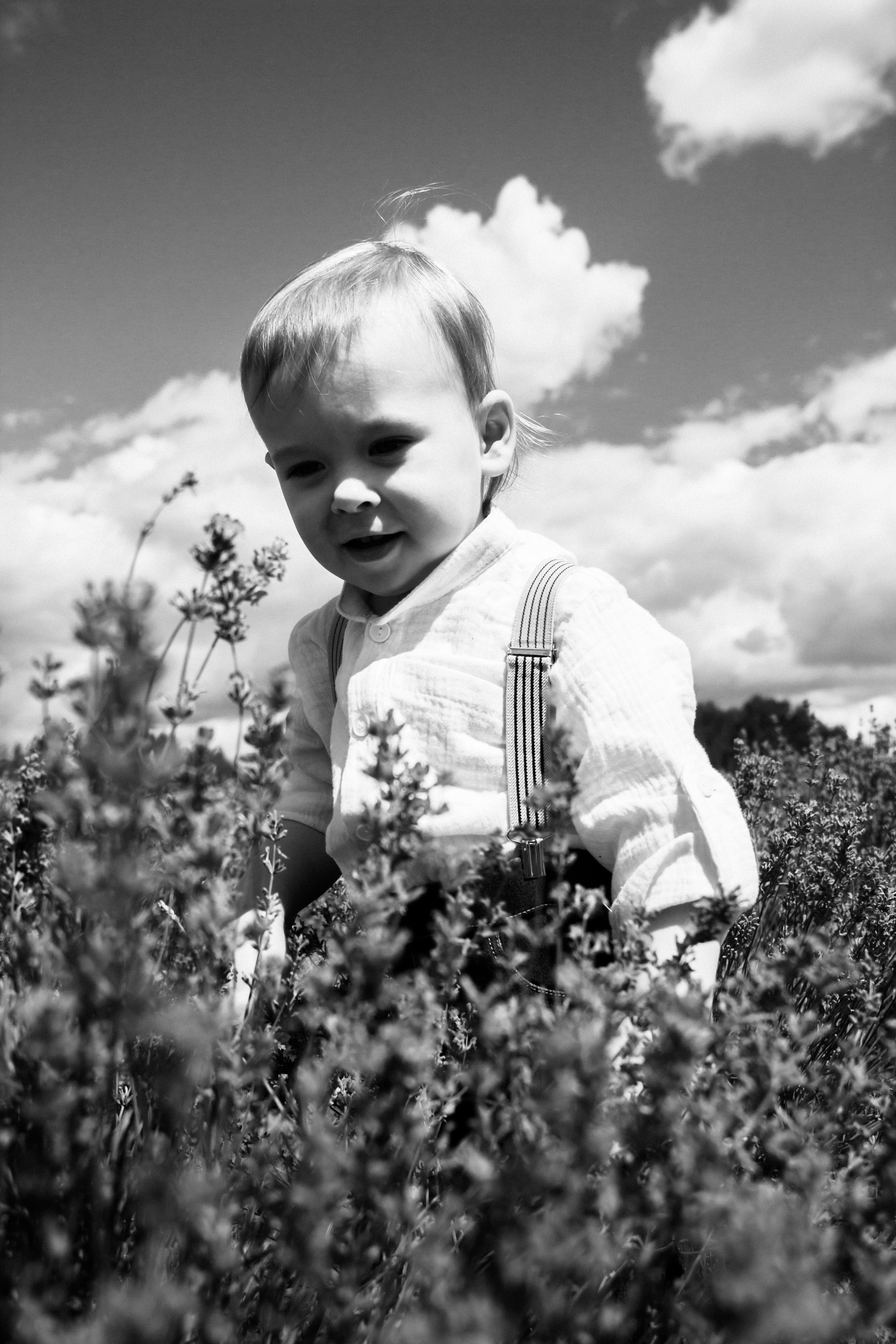 FROL 2023 étude. Фотограф Санкт-Петербург, Новороссийск