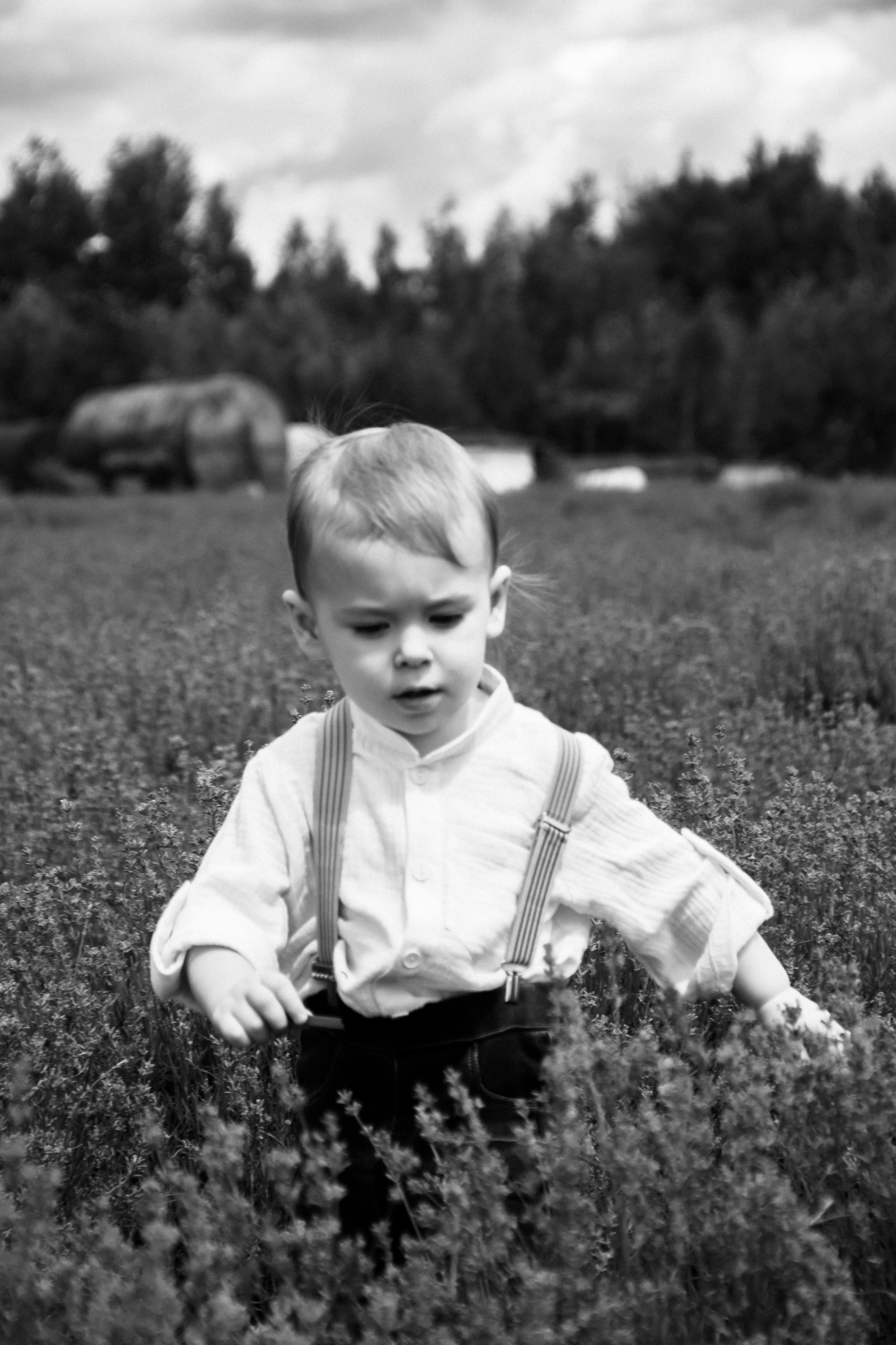 FROL 2023 étude. Фотограф Санкт-Петербург, Новороссийск