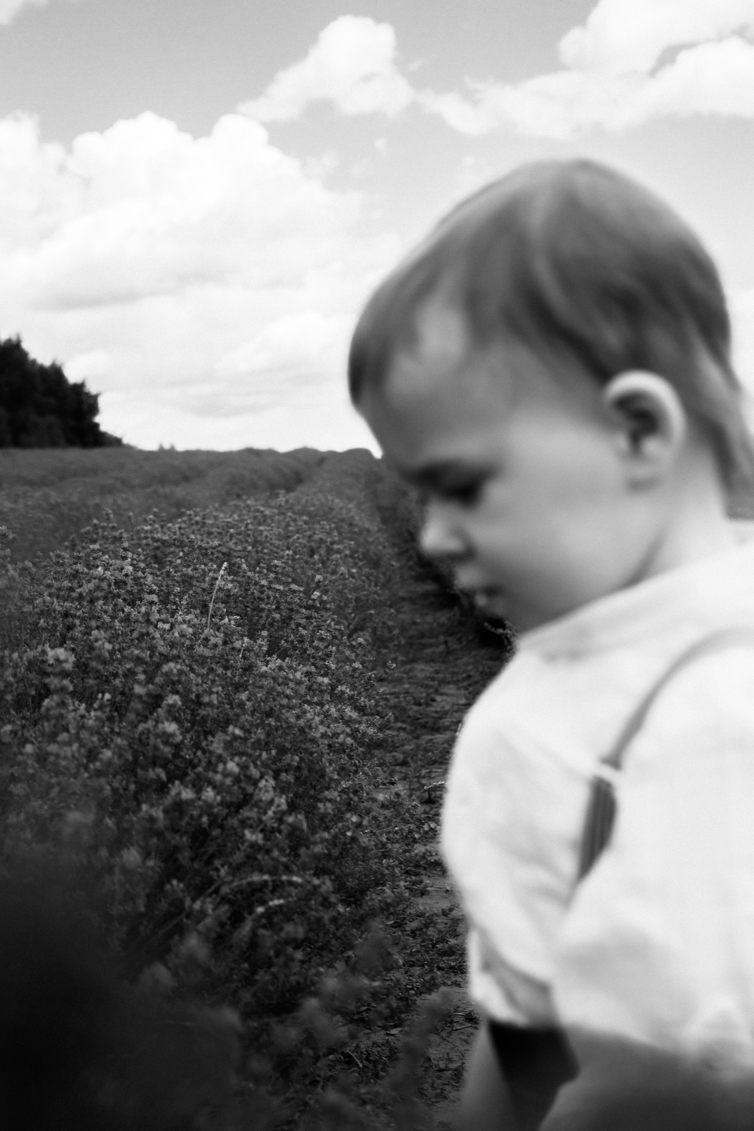 FROL 2023 étude. Фотограф Санкт-Петербург, Новороссийск