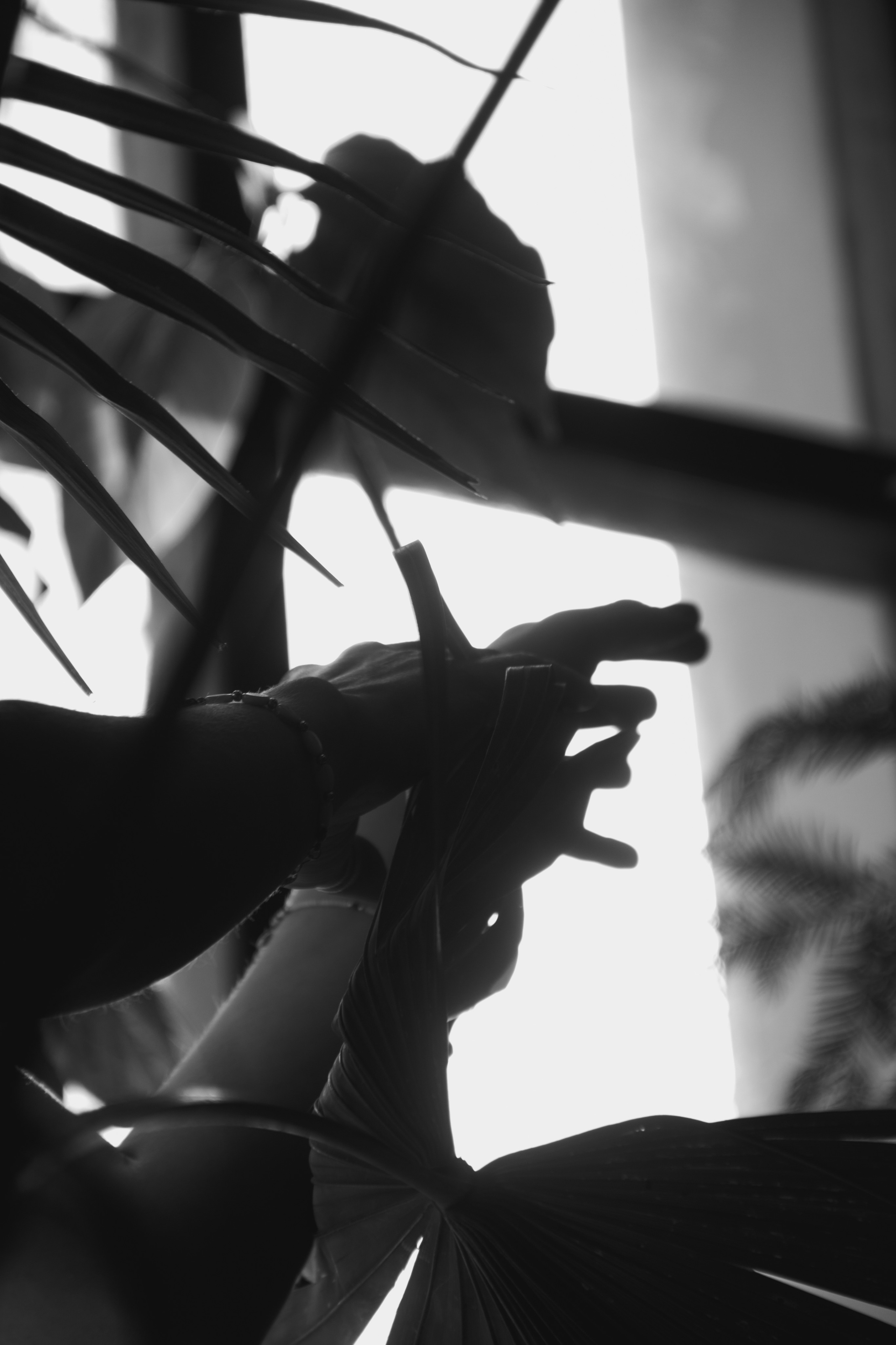 OLGA 2023 étude. Фотограф Санкт-Петербург, Новороссийск