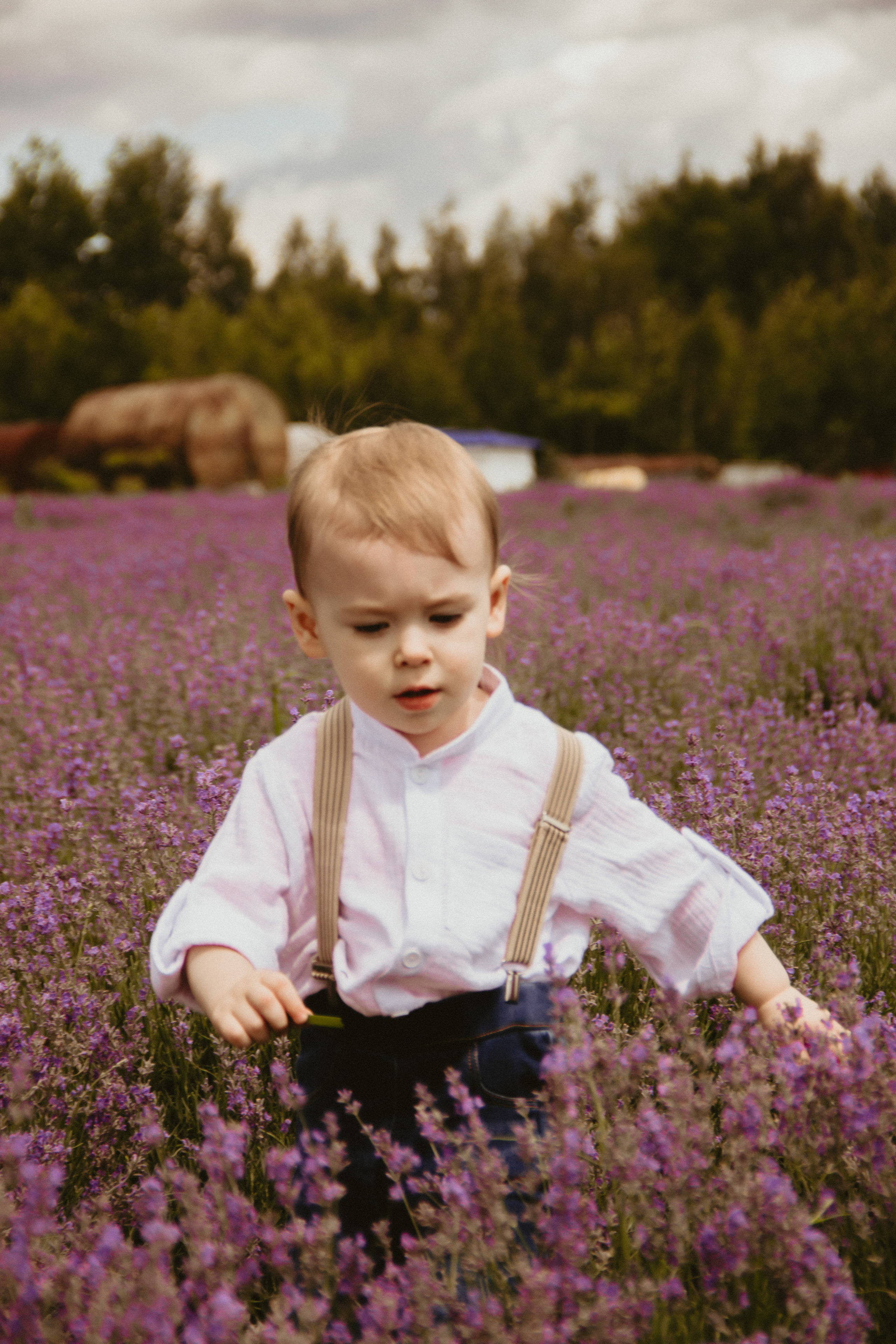 FROL 2023 étude. Фотограф Санкт-Петербург, Новороссийск