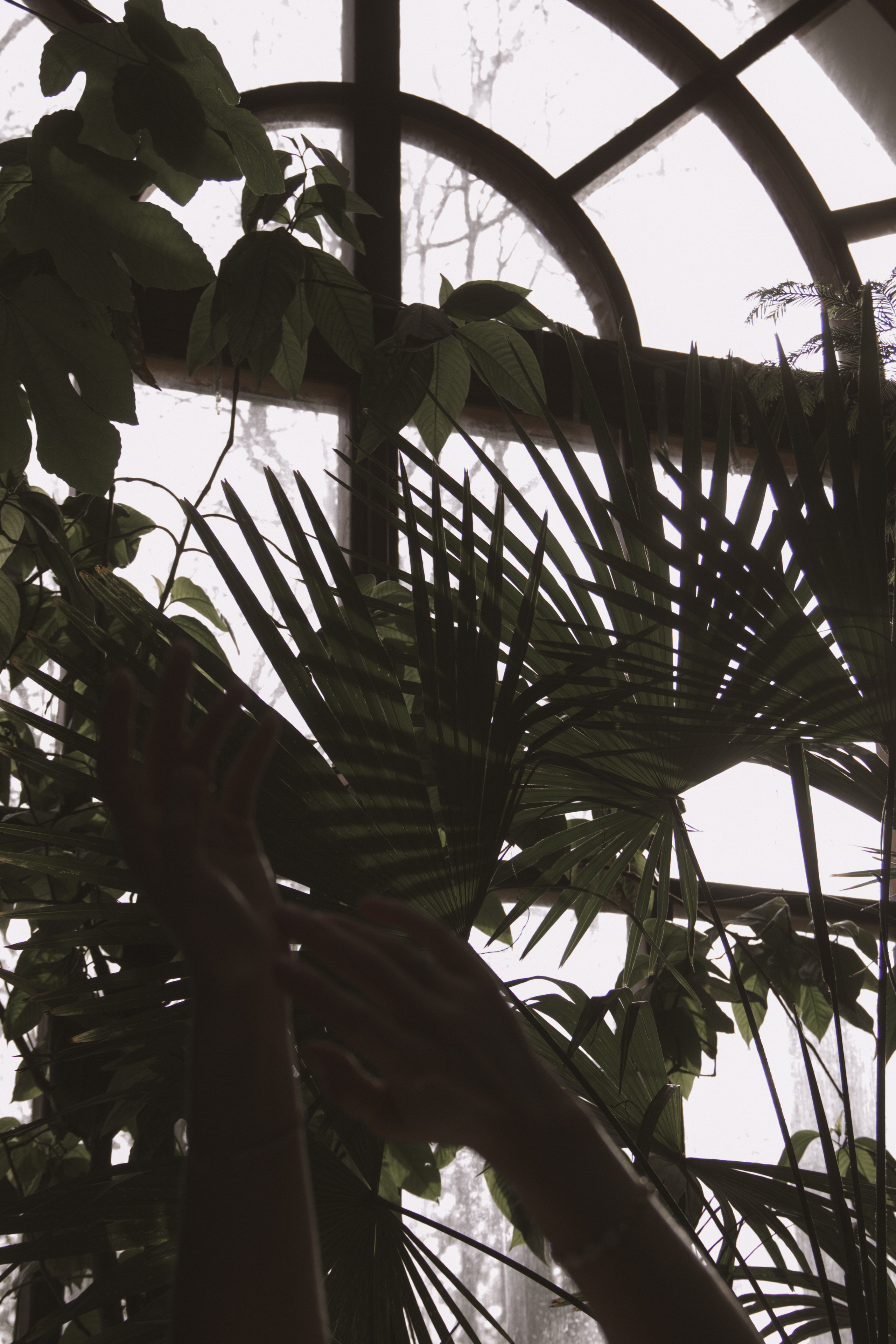 OLGA 2023 étude. Фотограф Санкт-Петербург, Новороссийск