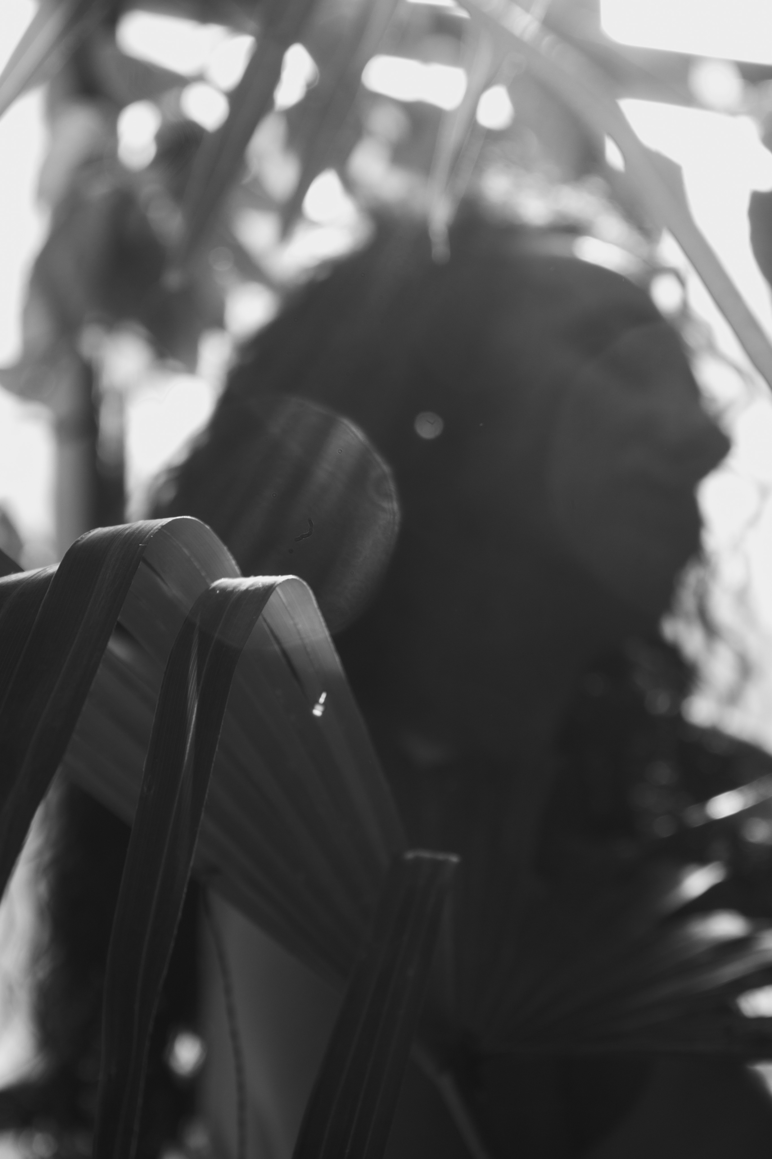 OLGA 2023 étude. Фотограф Санкт-Петербург, Новороссийск