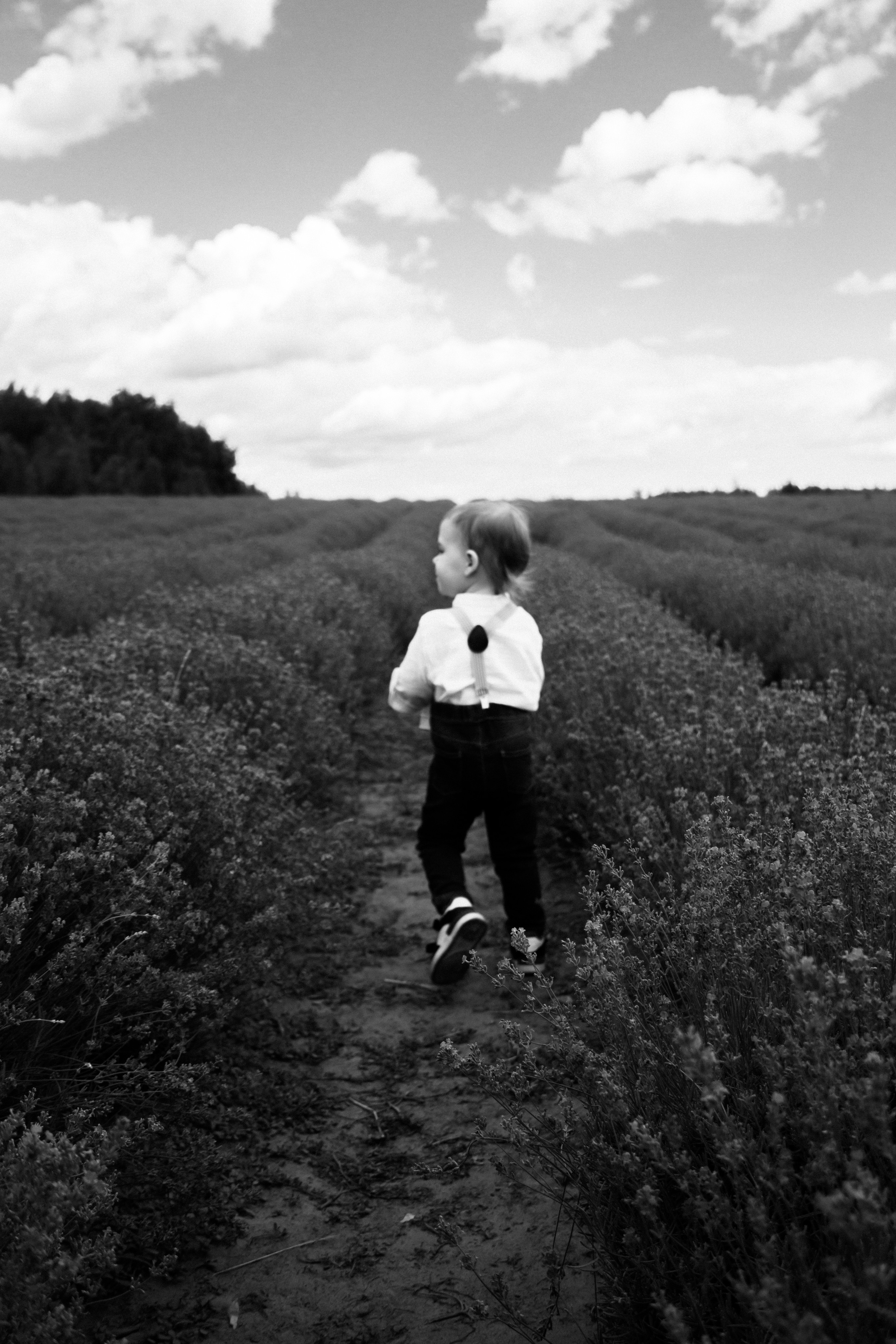 FROL 2023 étude. Фотограф Санкт-Петербург, Новороссийск