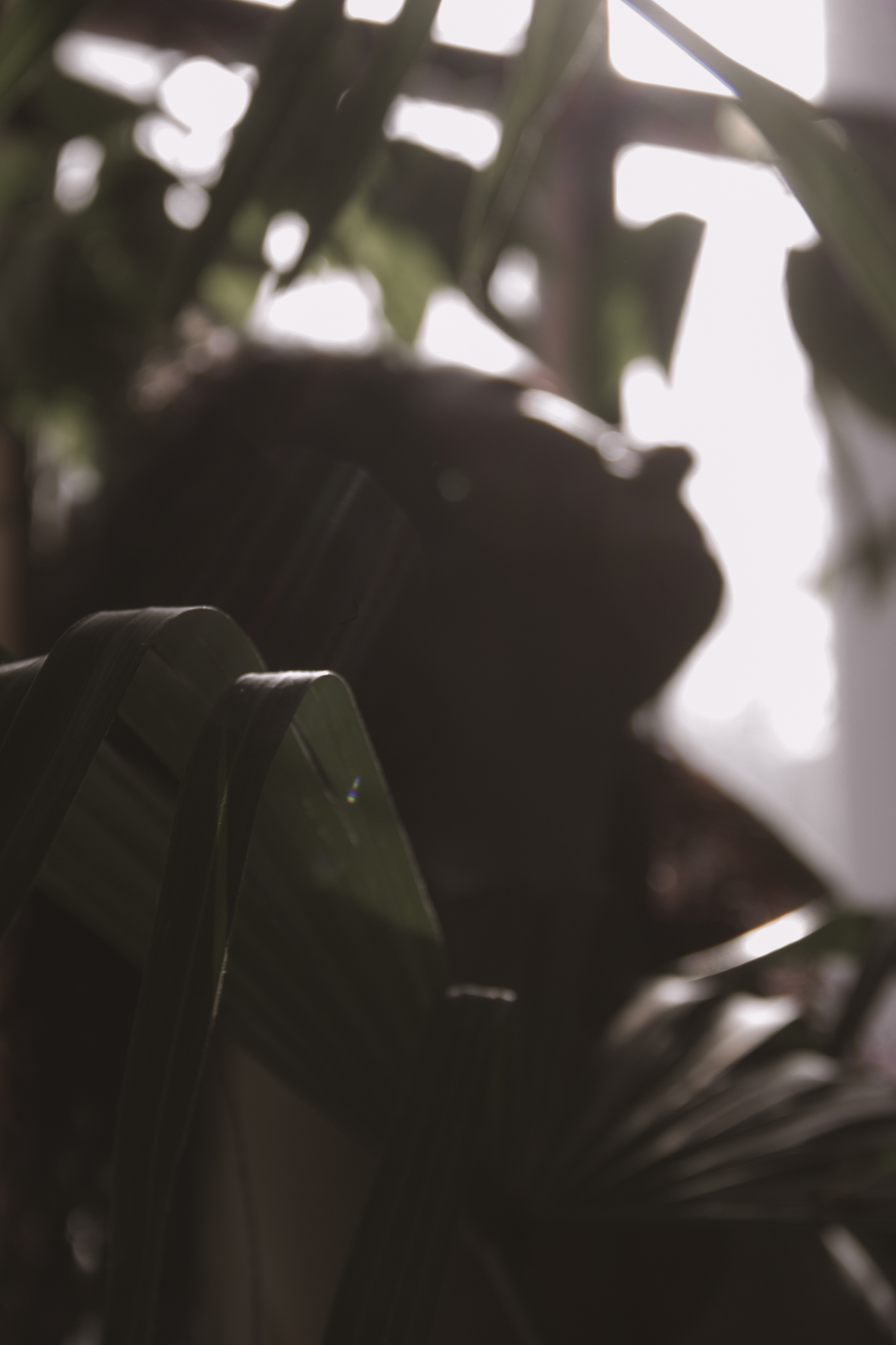 OLGA 2023 étude. Фотограф Санкт-Петербург, Новороссийск