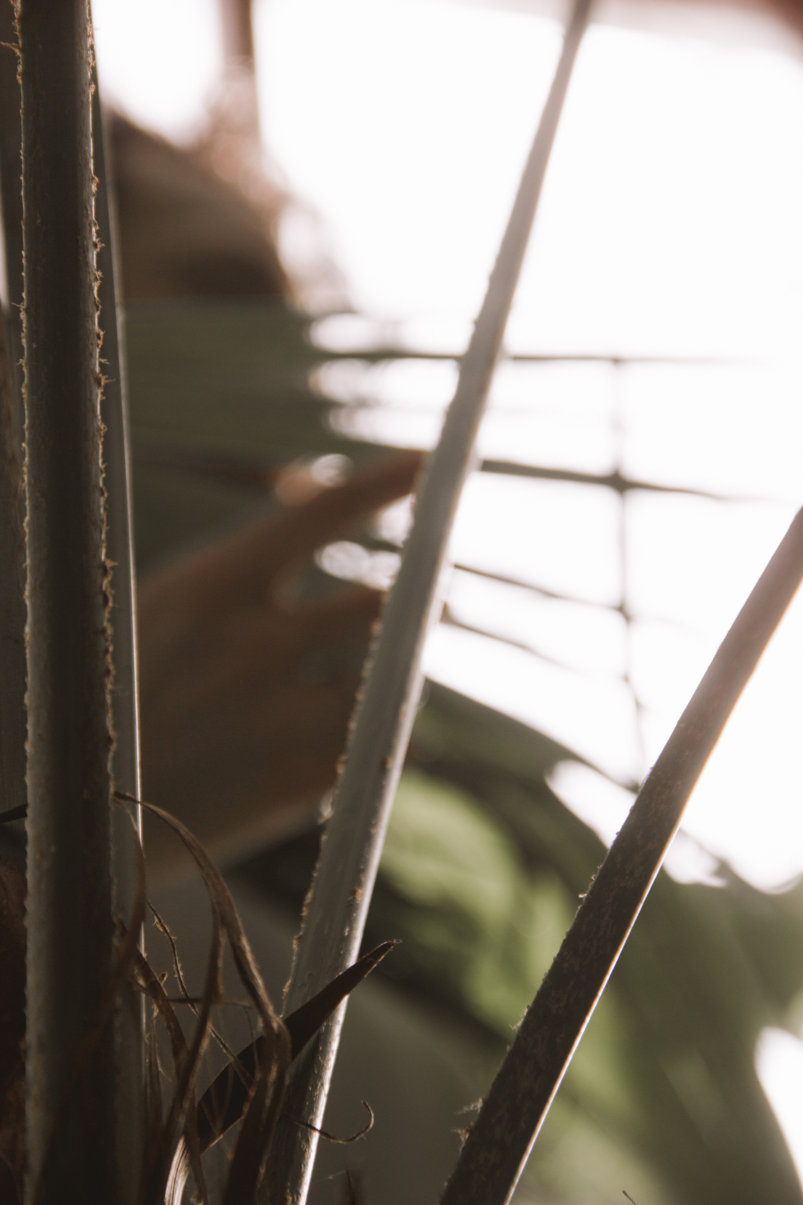 OLGA 2023 étude. Фотограф Санкт-Петербург, Новороссийск