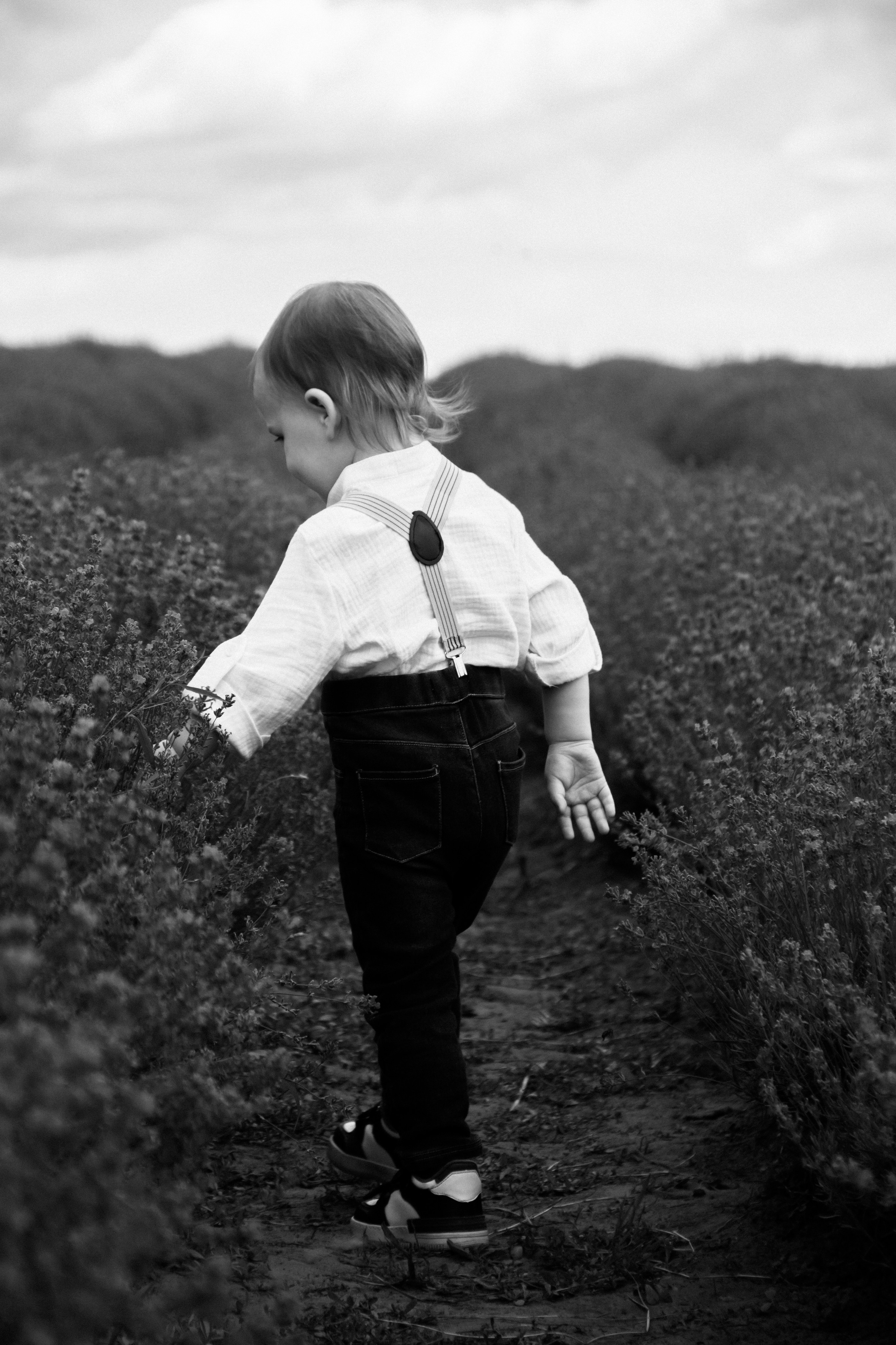 FROL 2023 étude. Фотограф Санкт-Петербург, Новороссийск