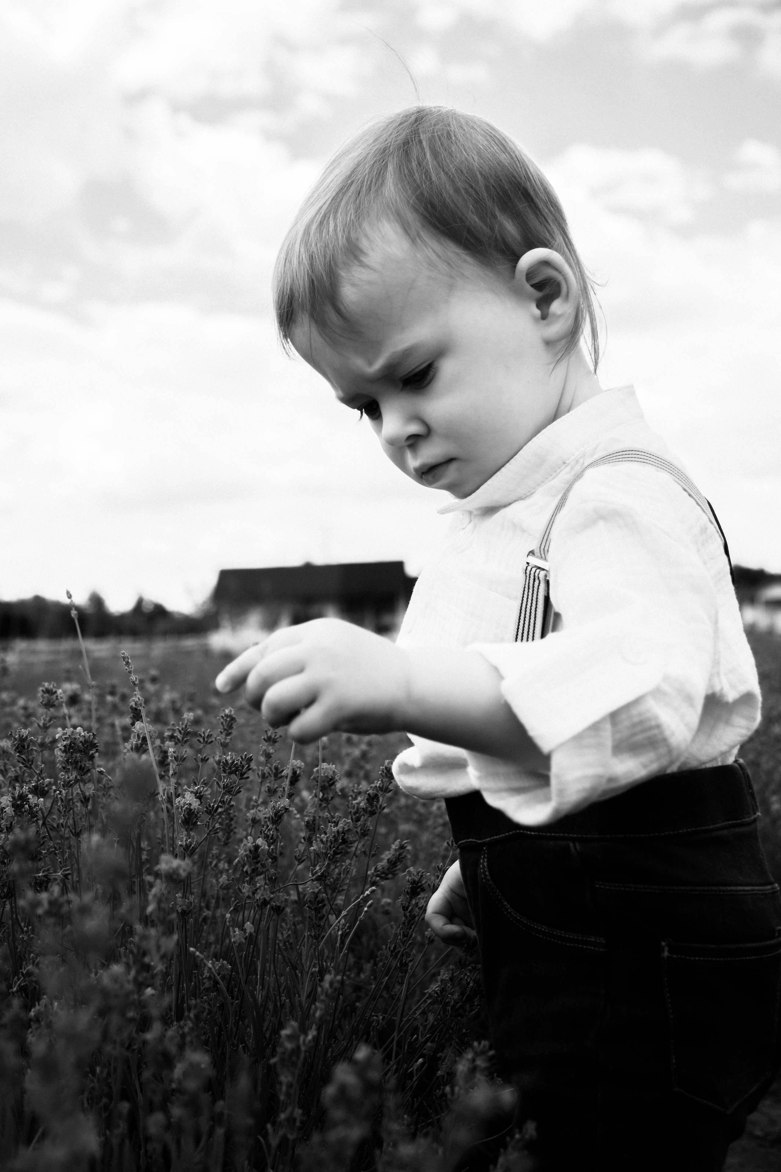 FROL 2023 étude. Фотограф Санкт-Петербург, Новороссийск