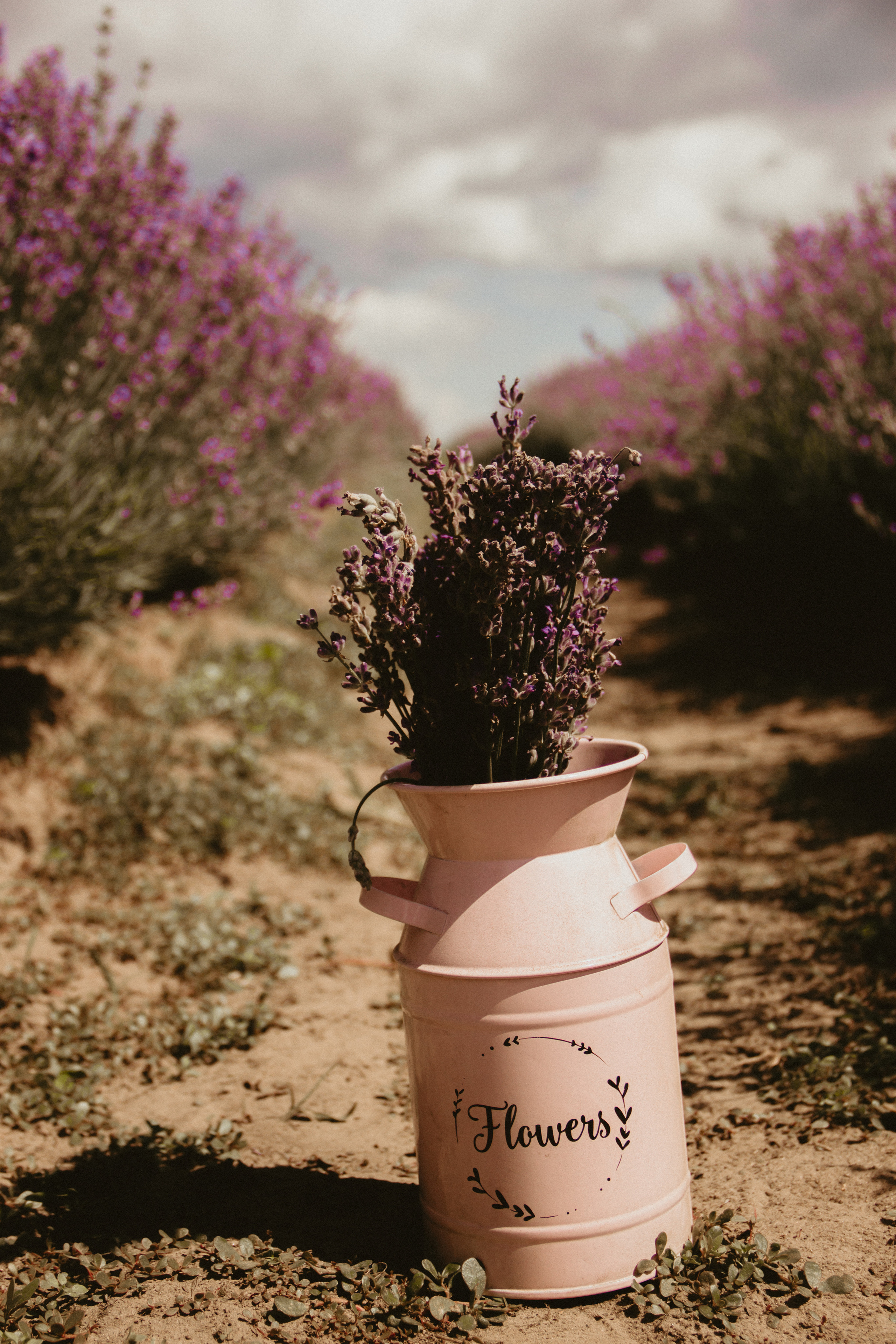 FROL 2023 étude. Фотограф Санкт-Петербург, Новороссийск