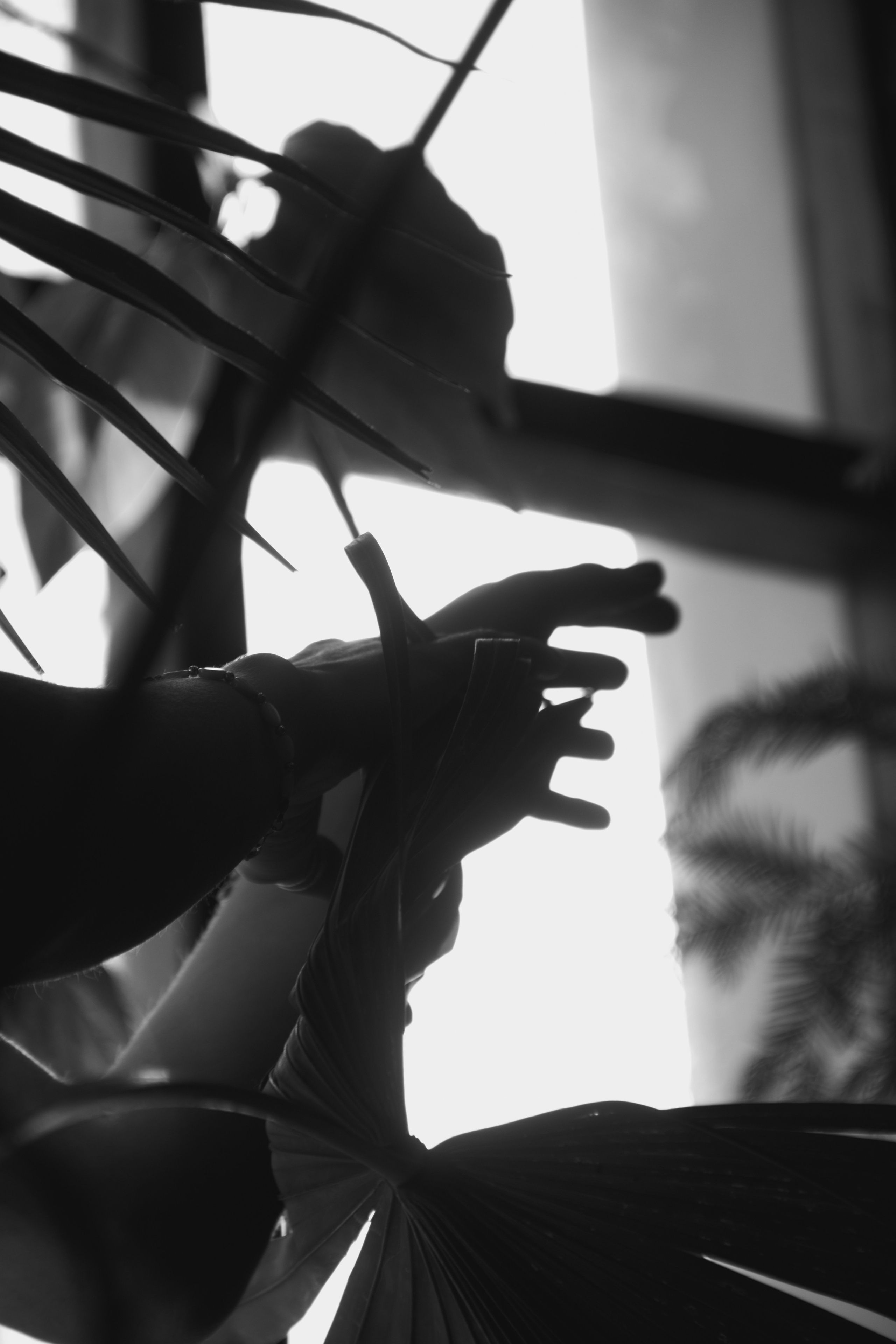 OLGA 2023 étude. Фотограф Санкт-Петербург, Новороссийск