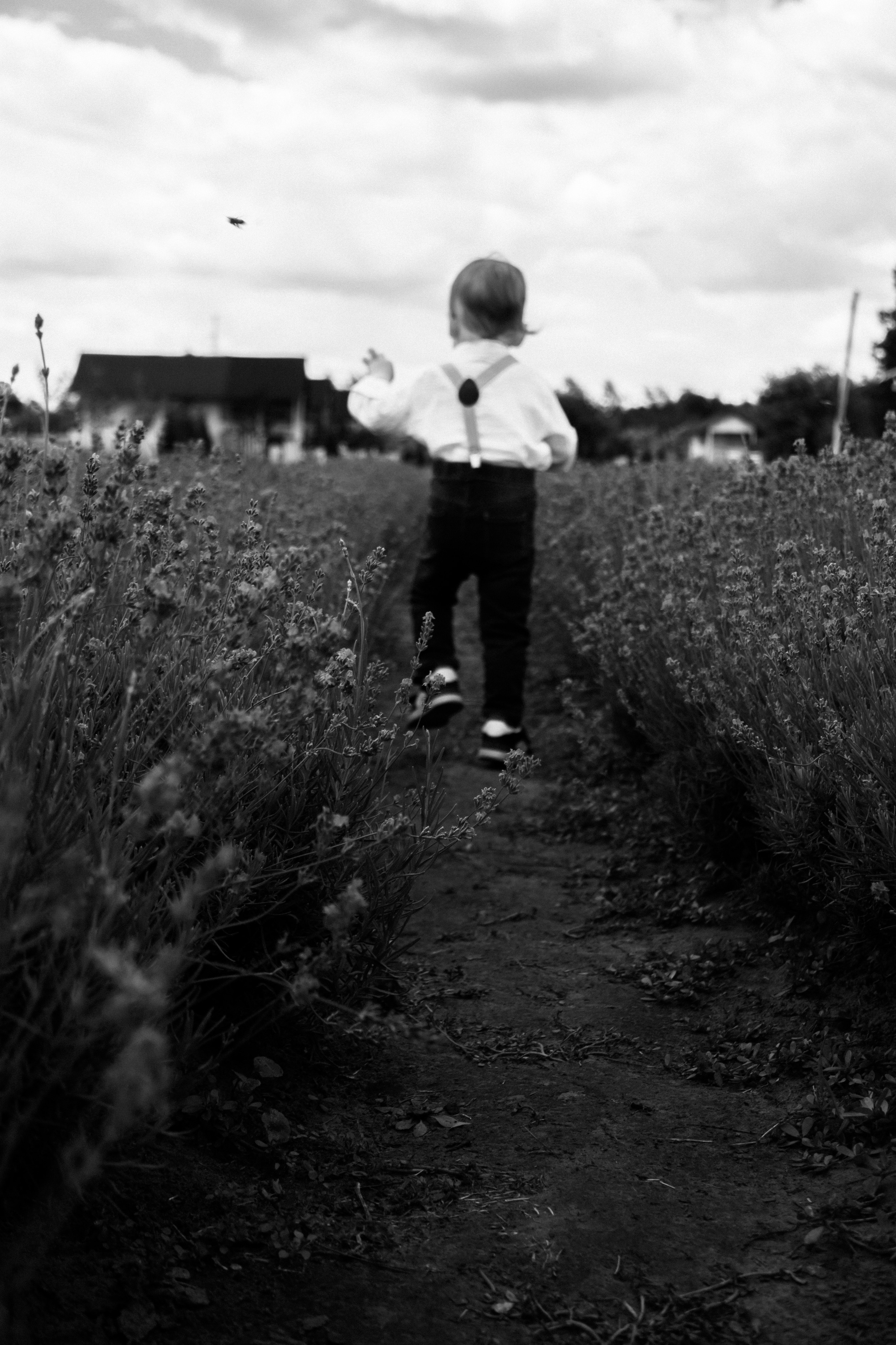 FROL 2023 étude. Фотограф Санкт-Петербург, Новороссийск