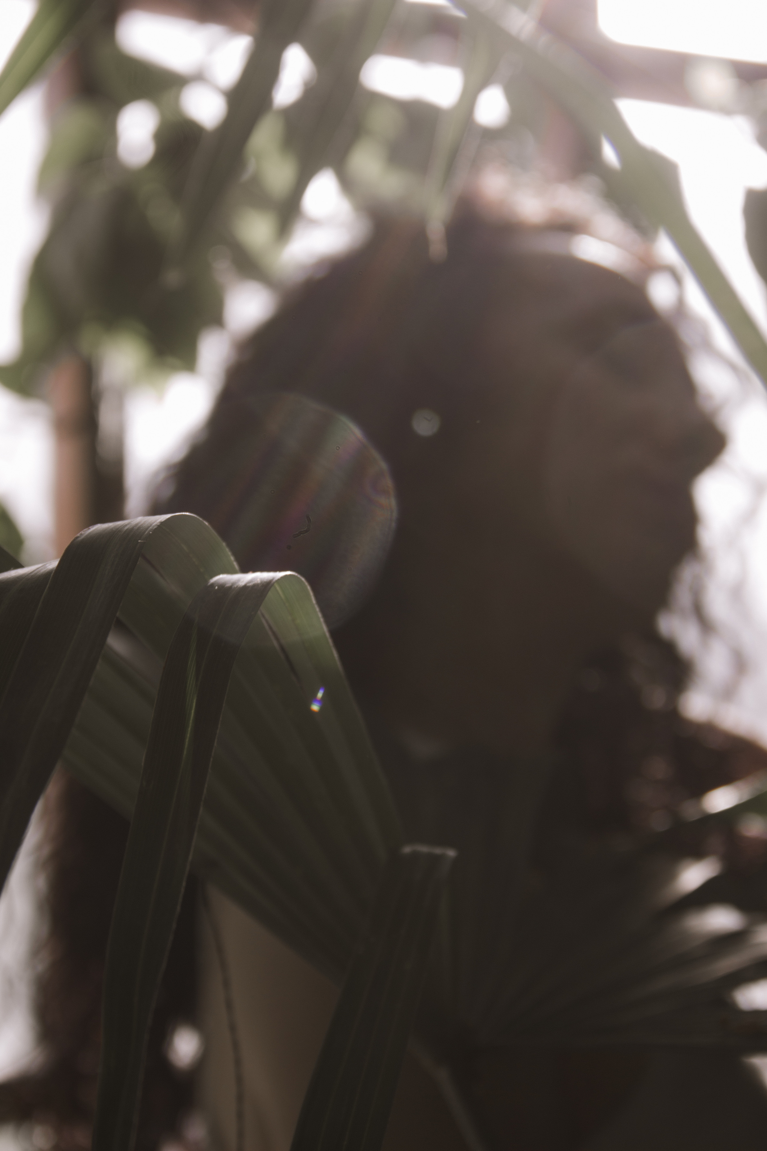 OLGA 2023 étude. Фотограф Санкт-Петербург, Новороссийск