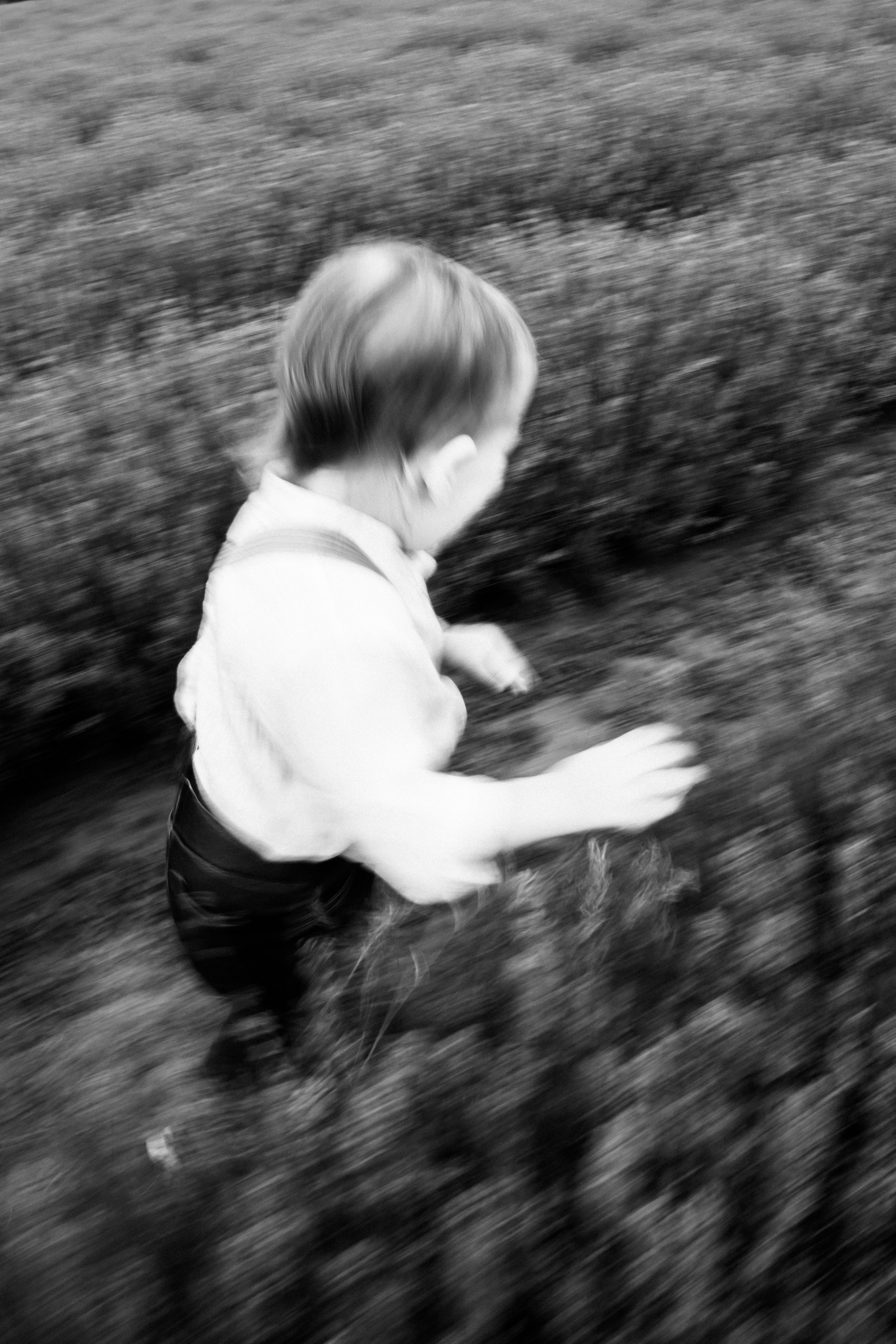 FROL 2023 étude. Фотограф Санкт-Петербург, Новороссийск