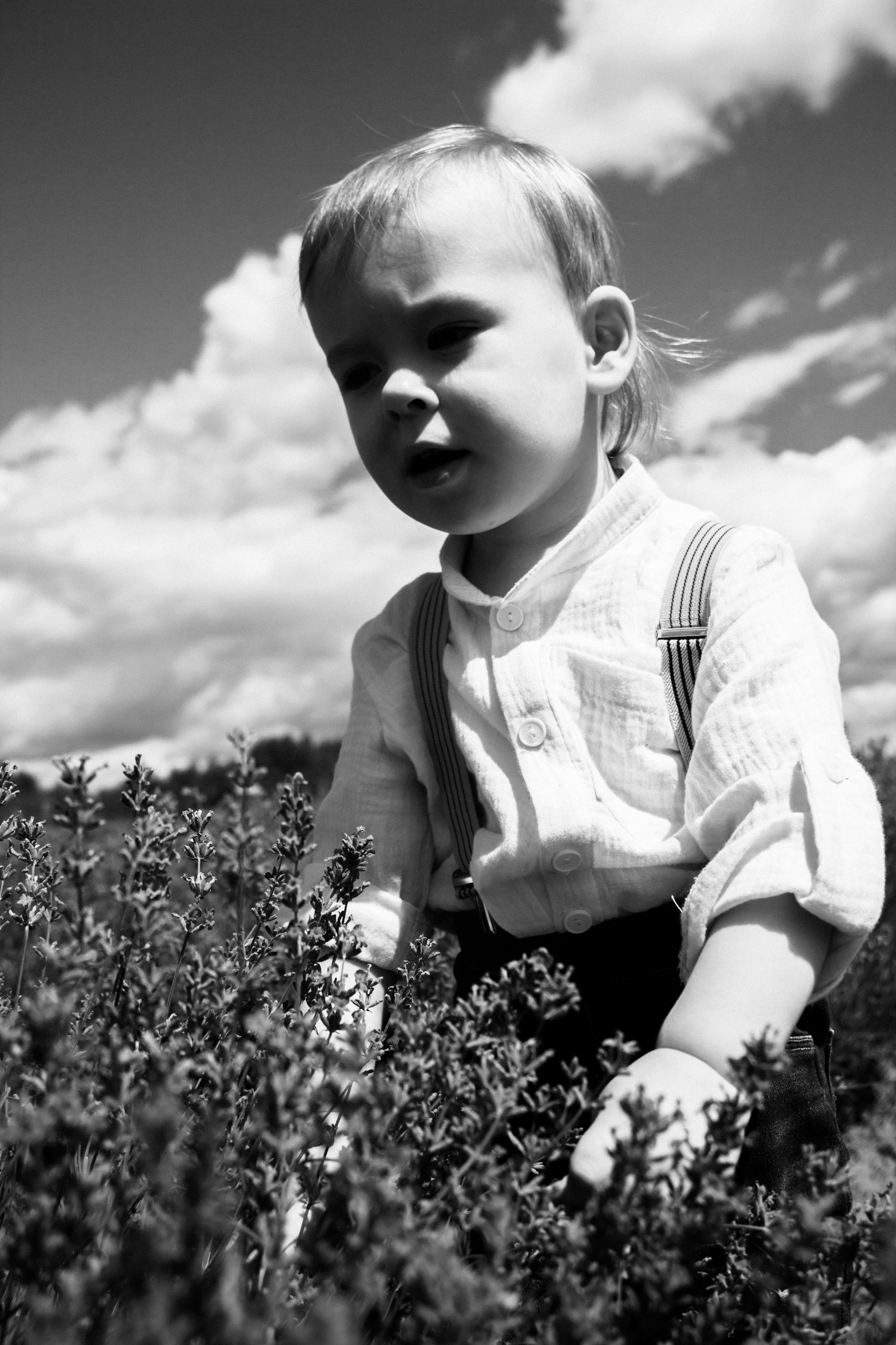 FROL 2023 étude. Фотограф Санкт-Петербург, Новороссийск