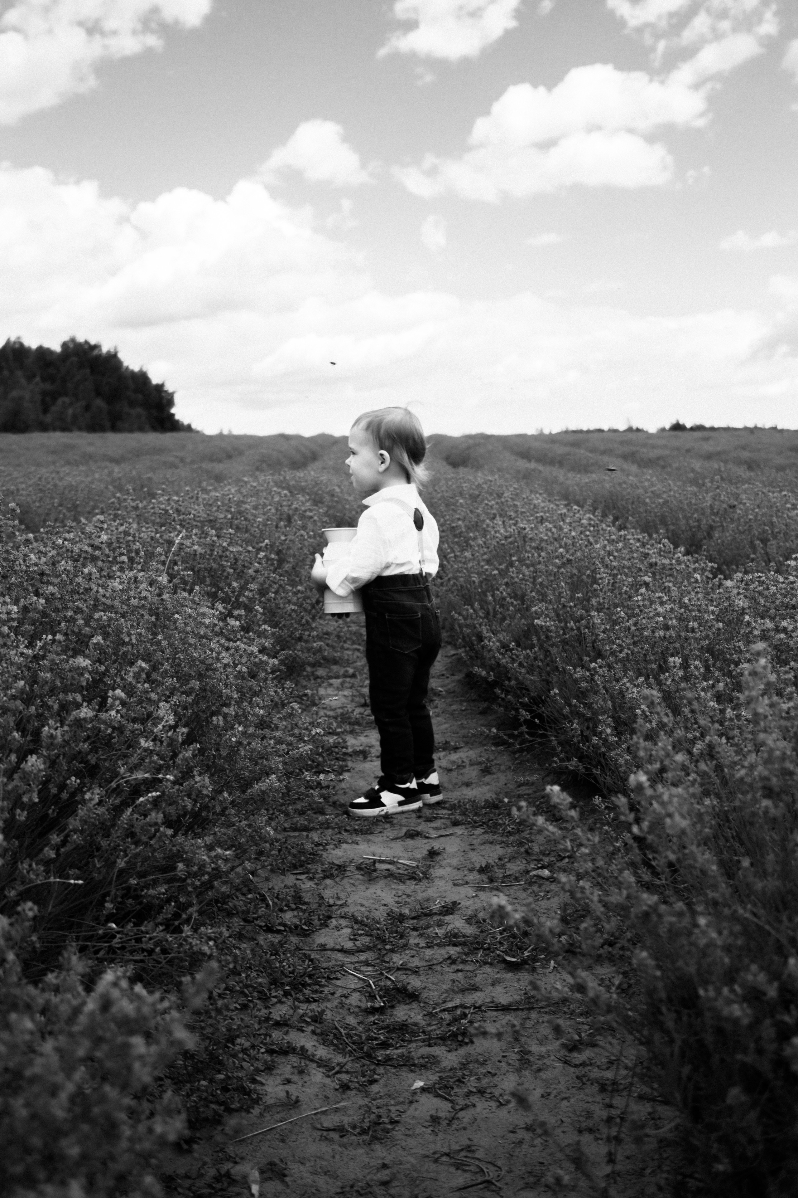 FROL 2023 étude. Фотограф Санкт-Петербург, Новороссийск