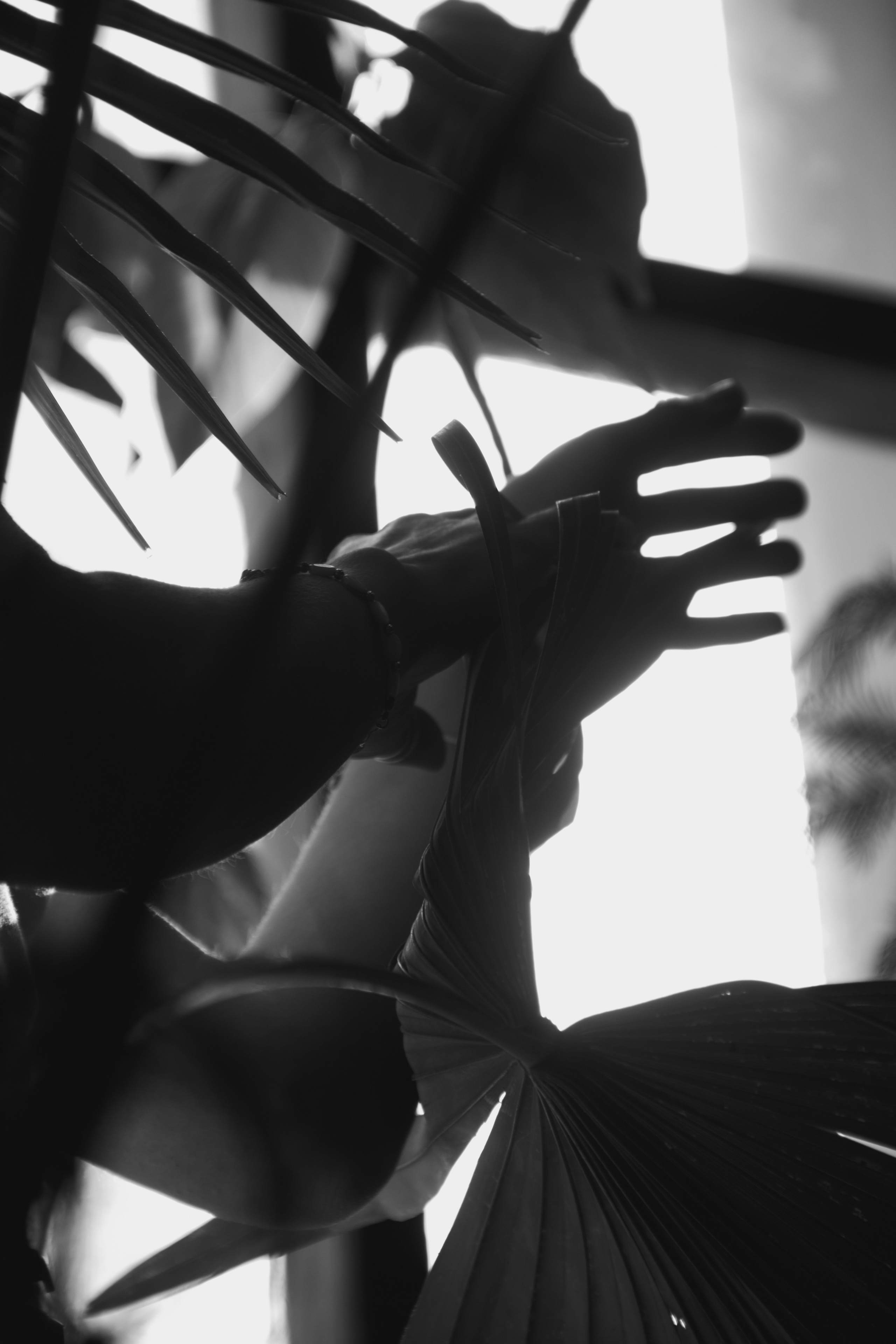 OLGA 2023 étude. Фотограф Санкт-Петербург, Новороссийск