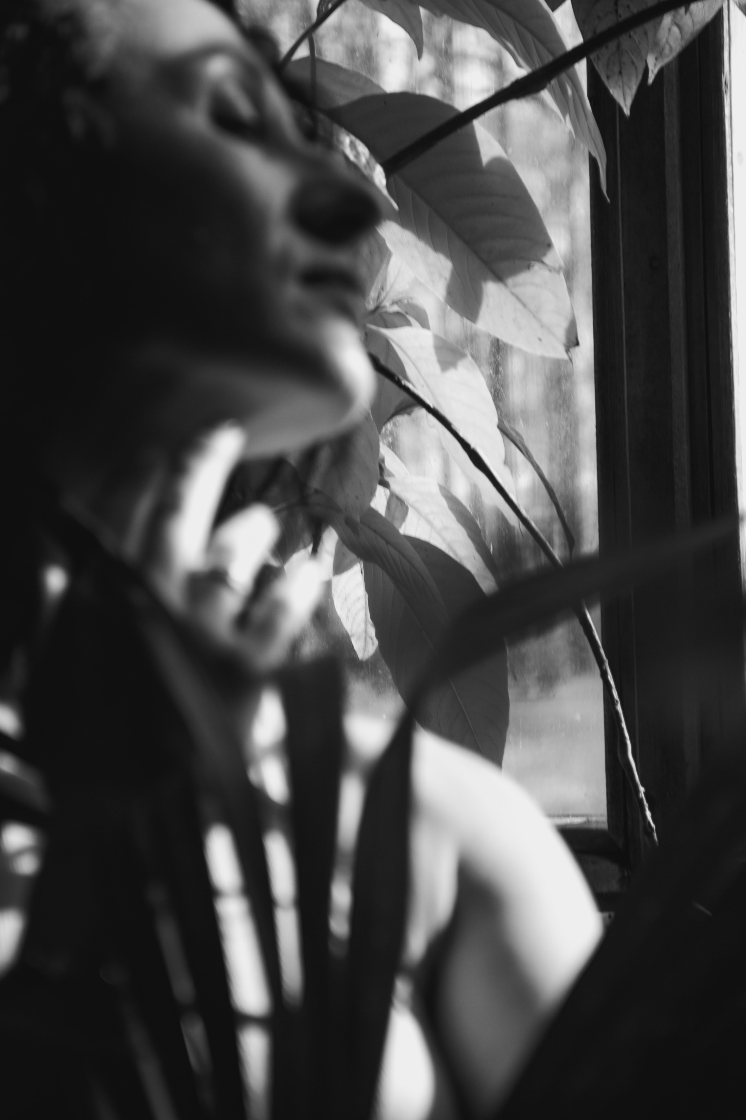 OLGA 2023 étude. Фотограф Санкт-Петербург, Новороссийск