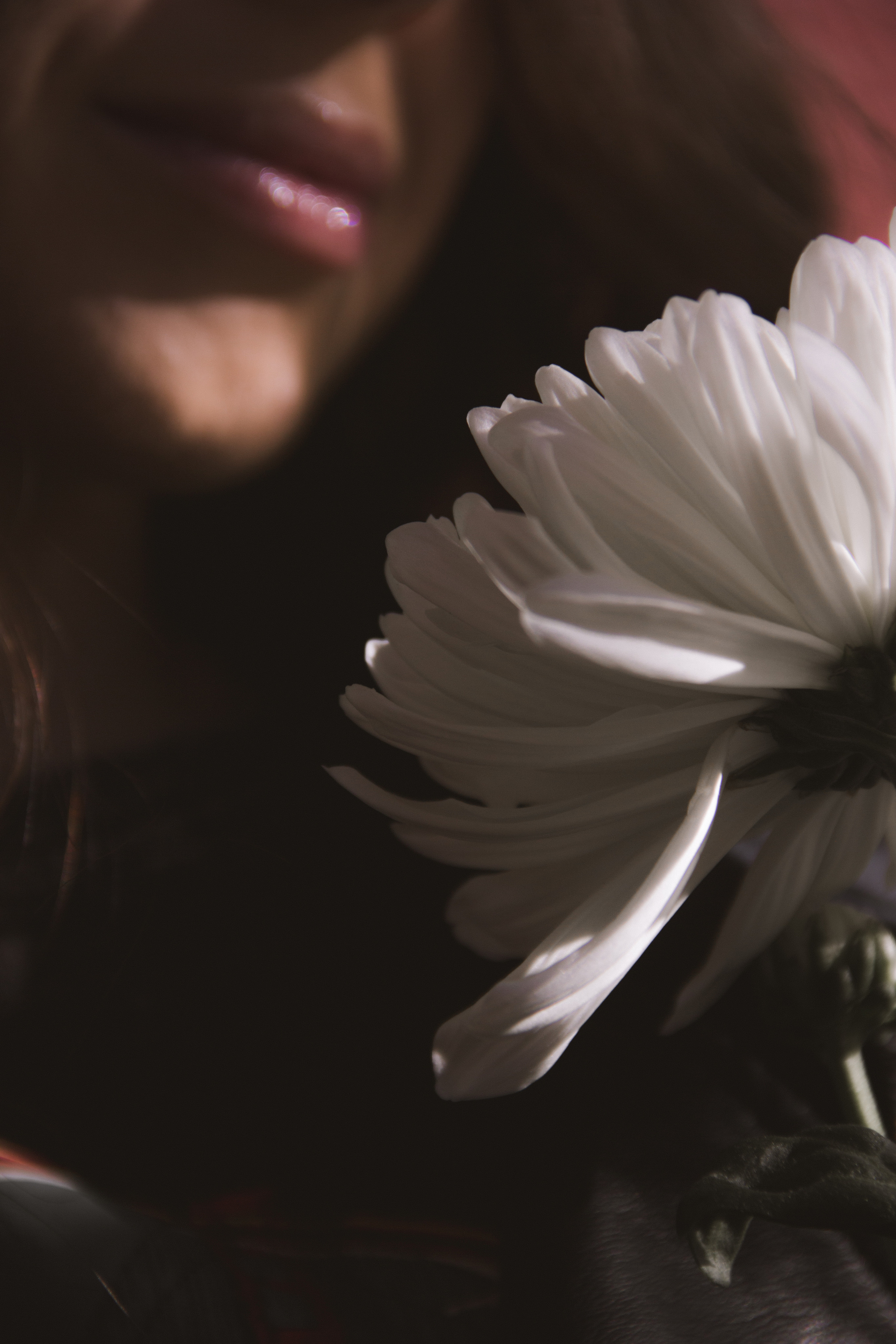 VERONIKA 2023 étude. Фотограф Санкт-Петербург, Новороссийск