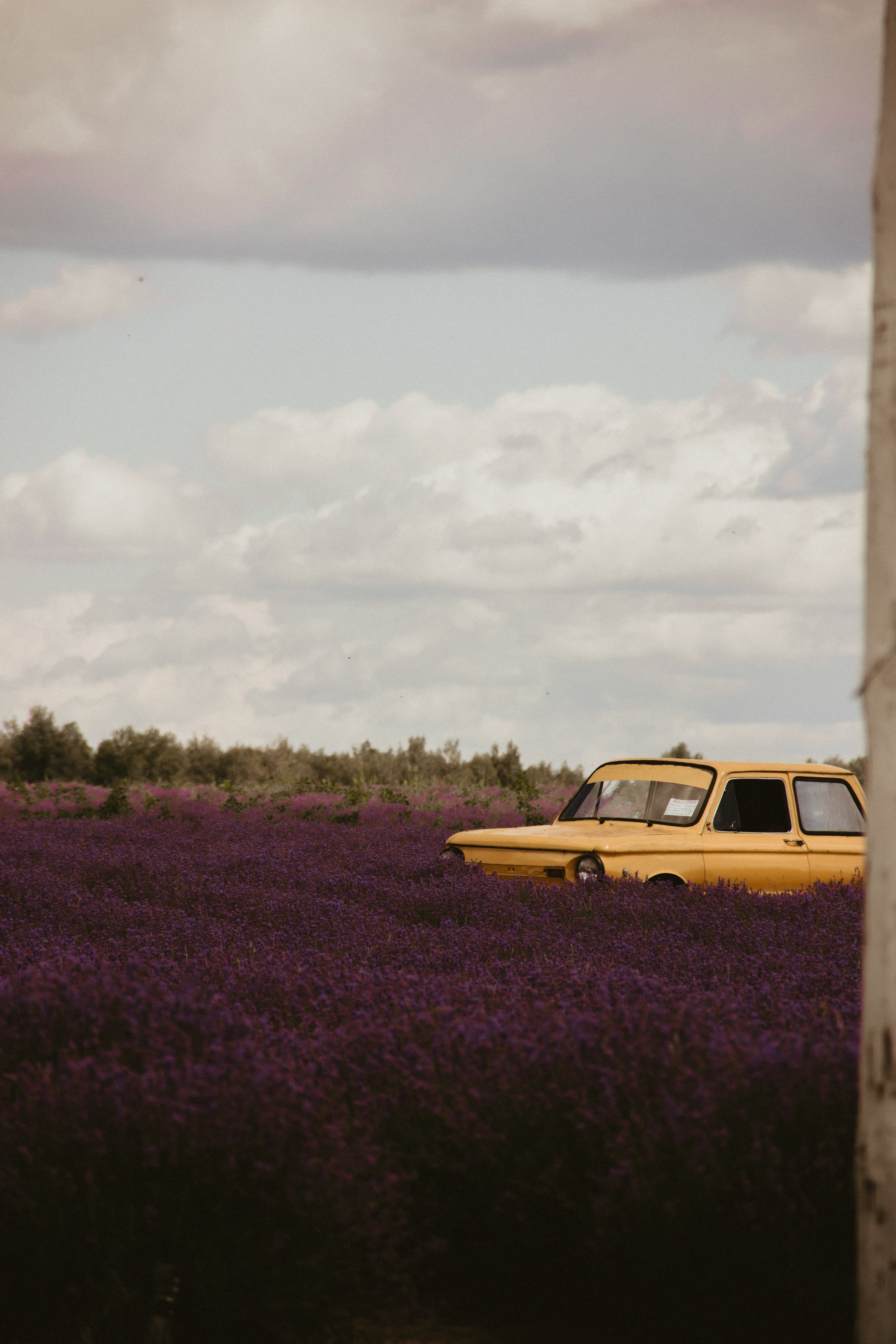 FROL 2023 étude. Фотограф Санкт-Петербург, Новороссийск