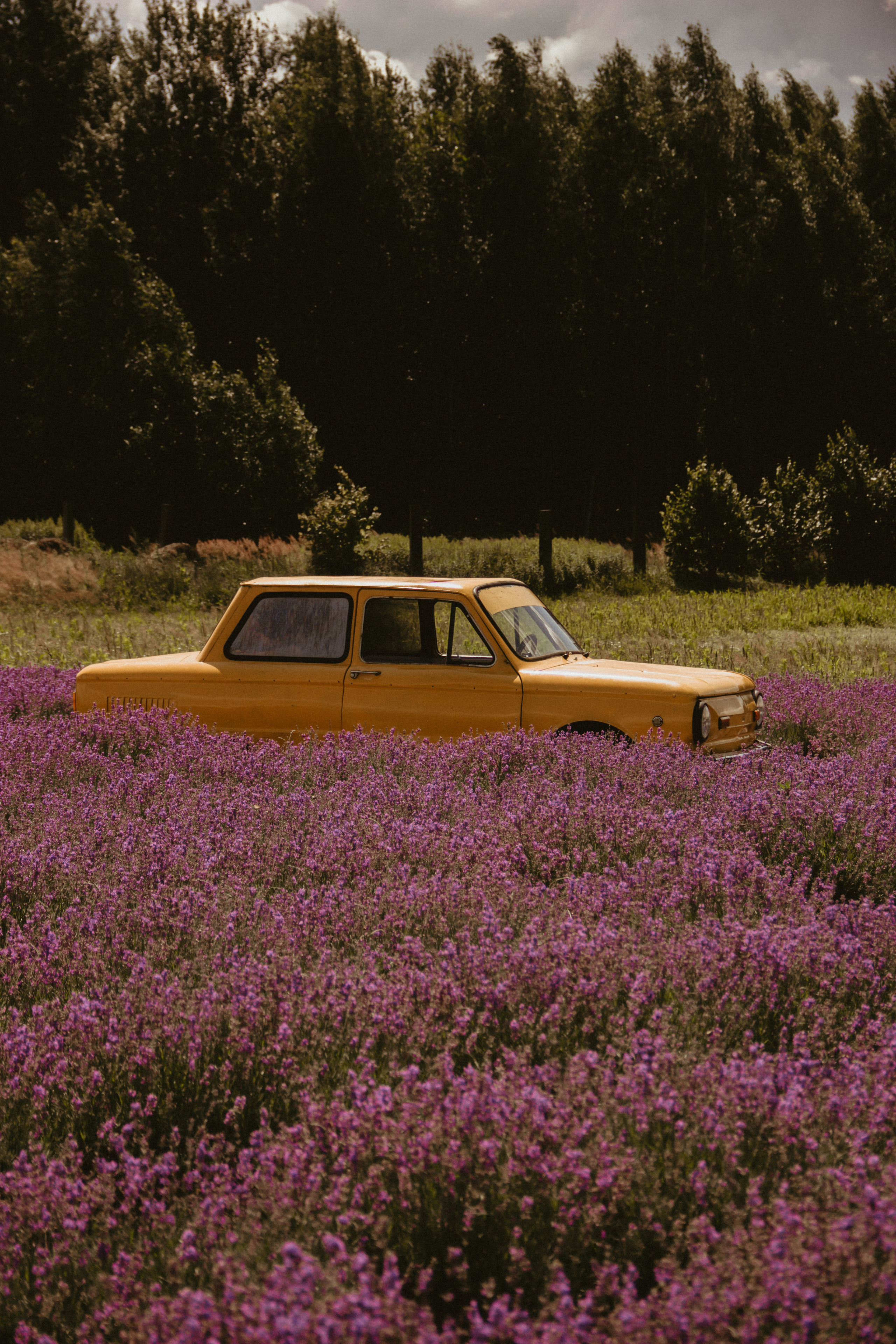 FROL 2023 étude. Фотограф Санкт-Петербург, Новороссийск