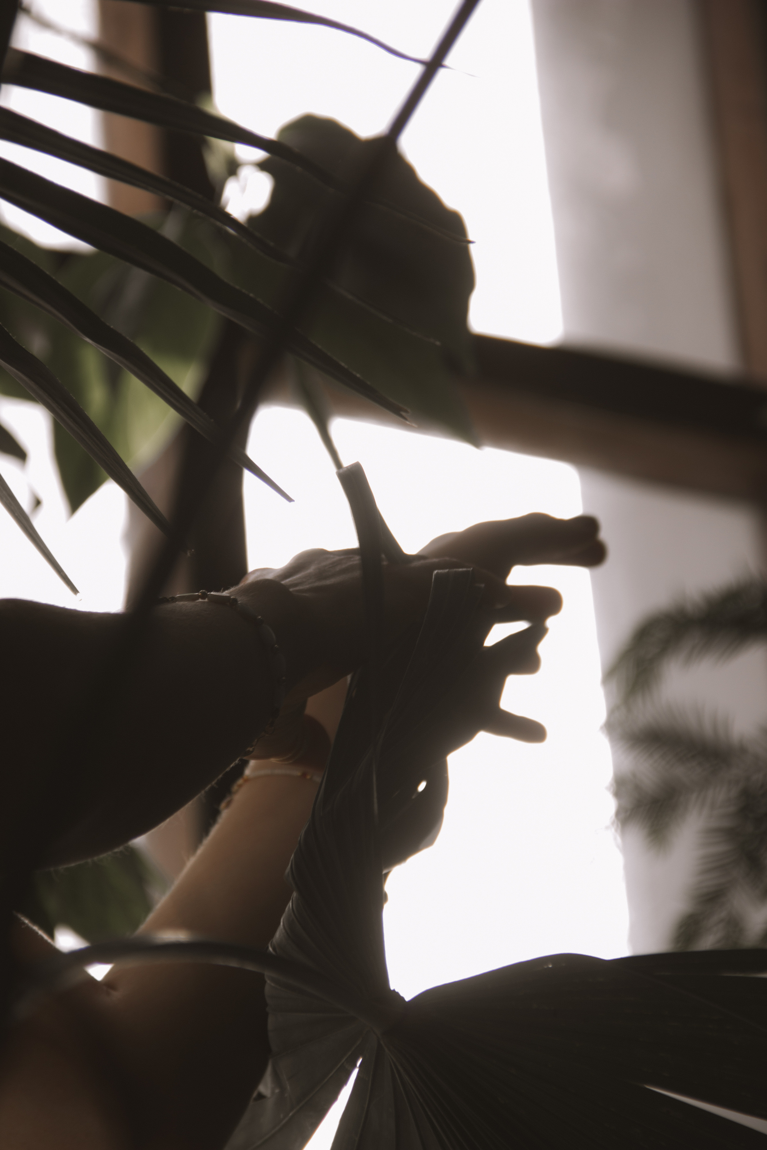 OLGA 2023 étude. Фотограф Санкт-Петербург, Новороссийск