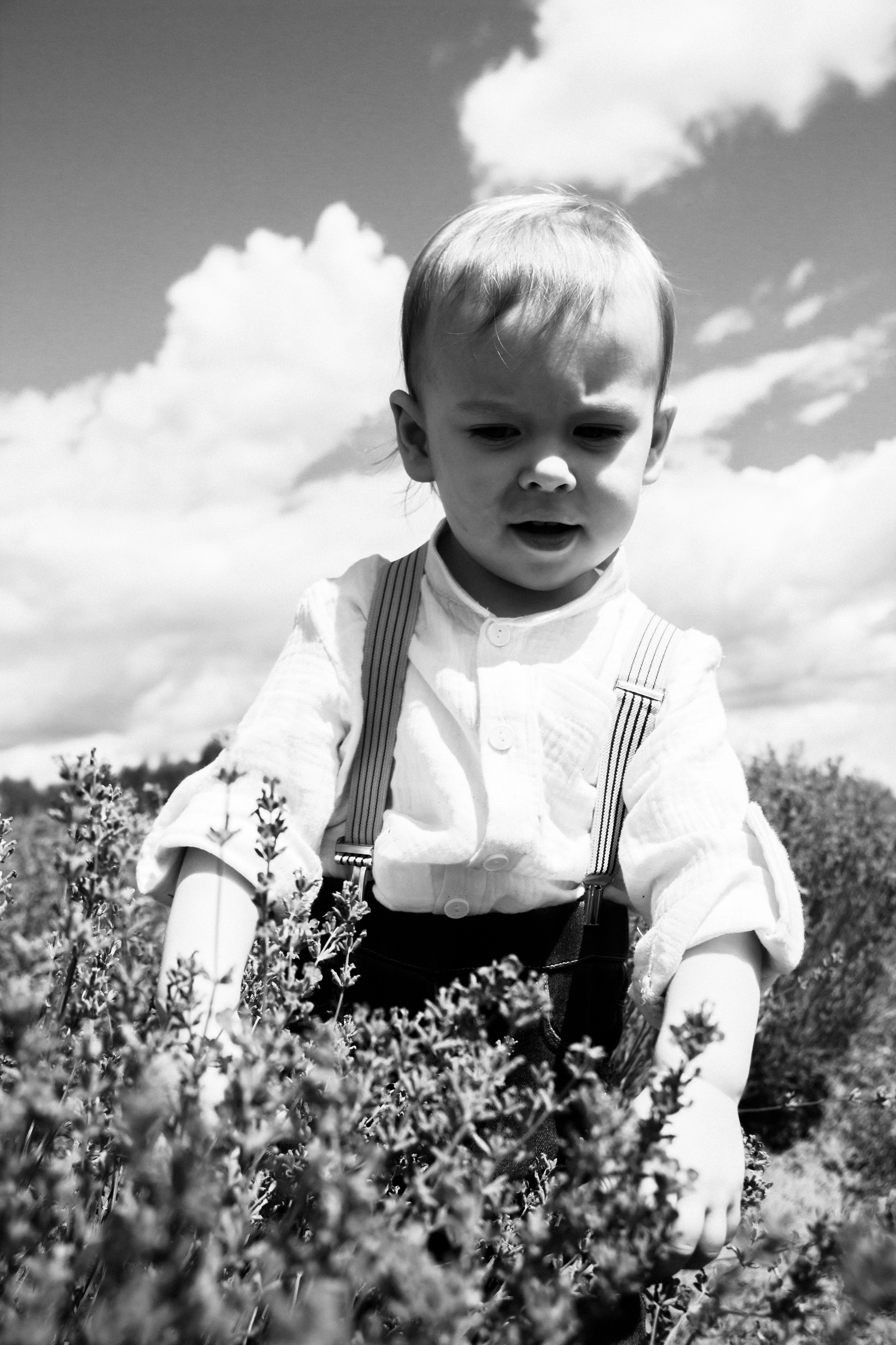 FROL 2023 étude. Фотограф Санкт-Петербург, Новороссийск