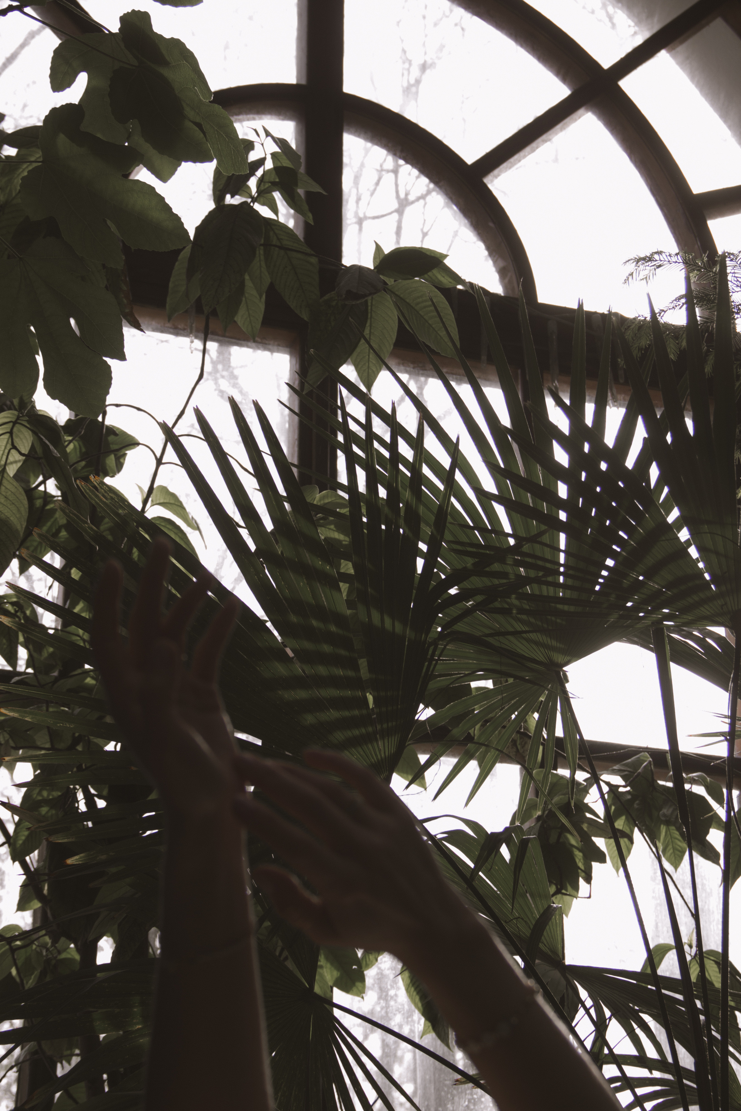 OLGA 2023 étude. Фотограф Санкт-Петербург, Новороссийск