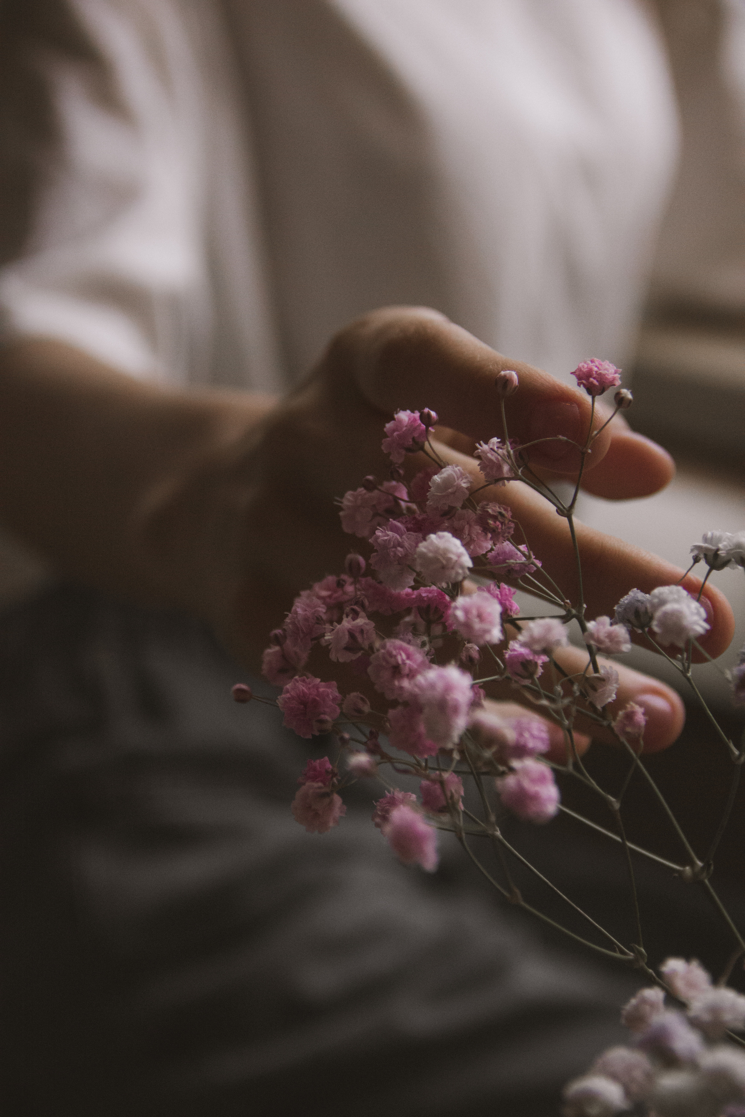 VALERIA 2023 étude. Фотограф Санкт-Петербург, Новороссийск