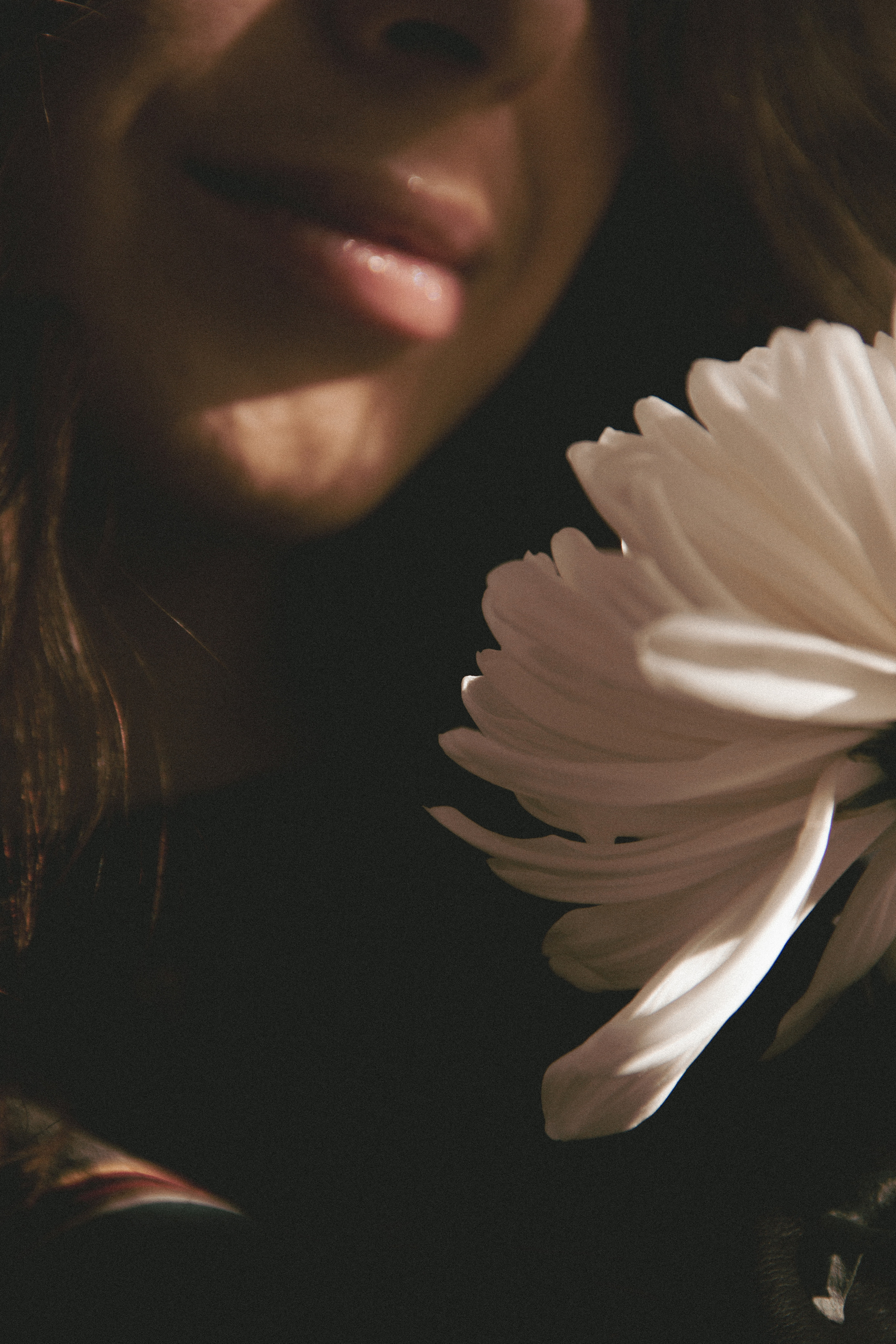 VERONIKA 2023 étude. Фотограф Санкт-Петербург, Новороссийск