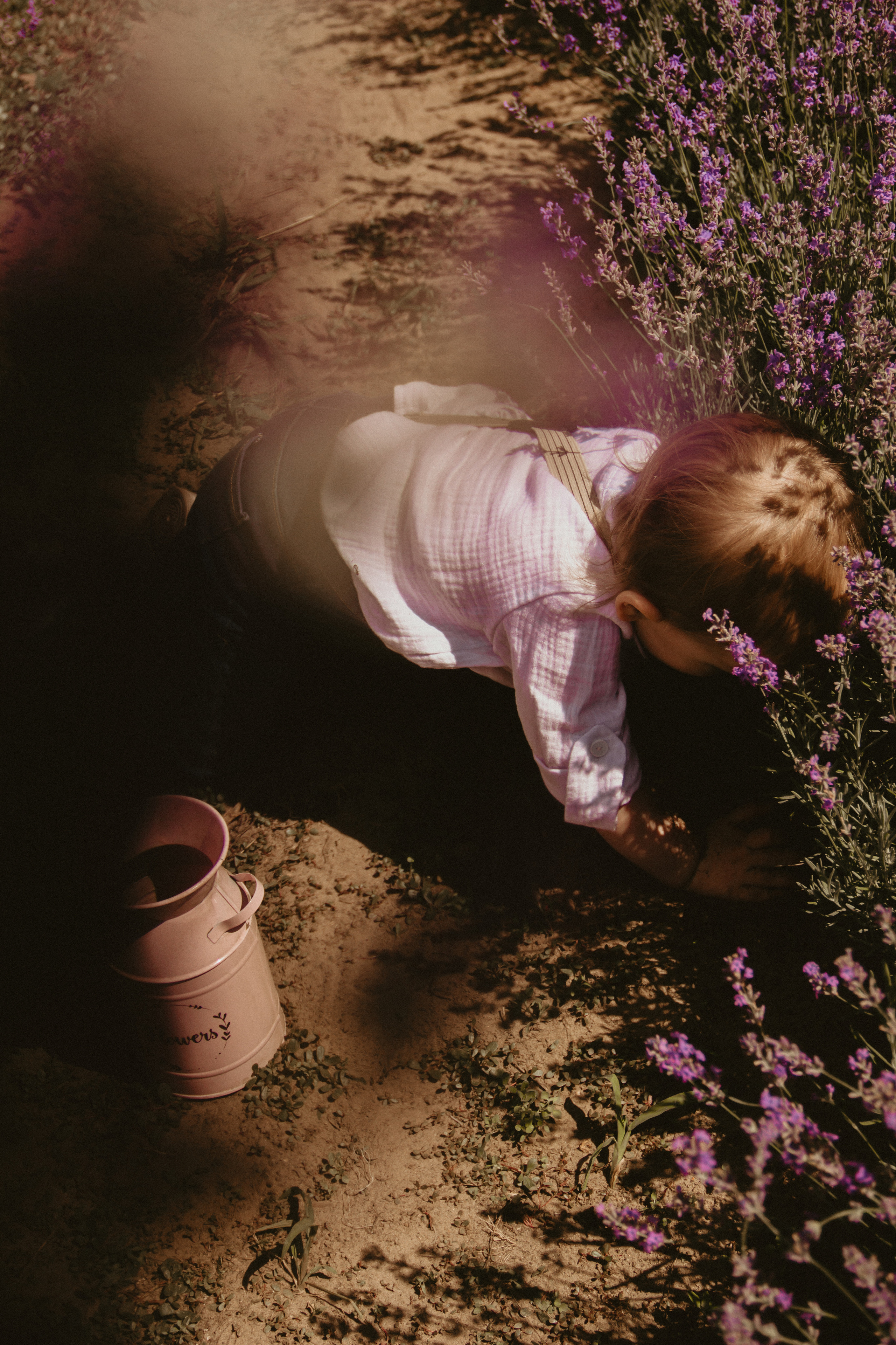 FROL 2023 étude. Фотограф Санкт-Петербург, Новороссийск