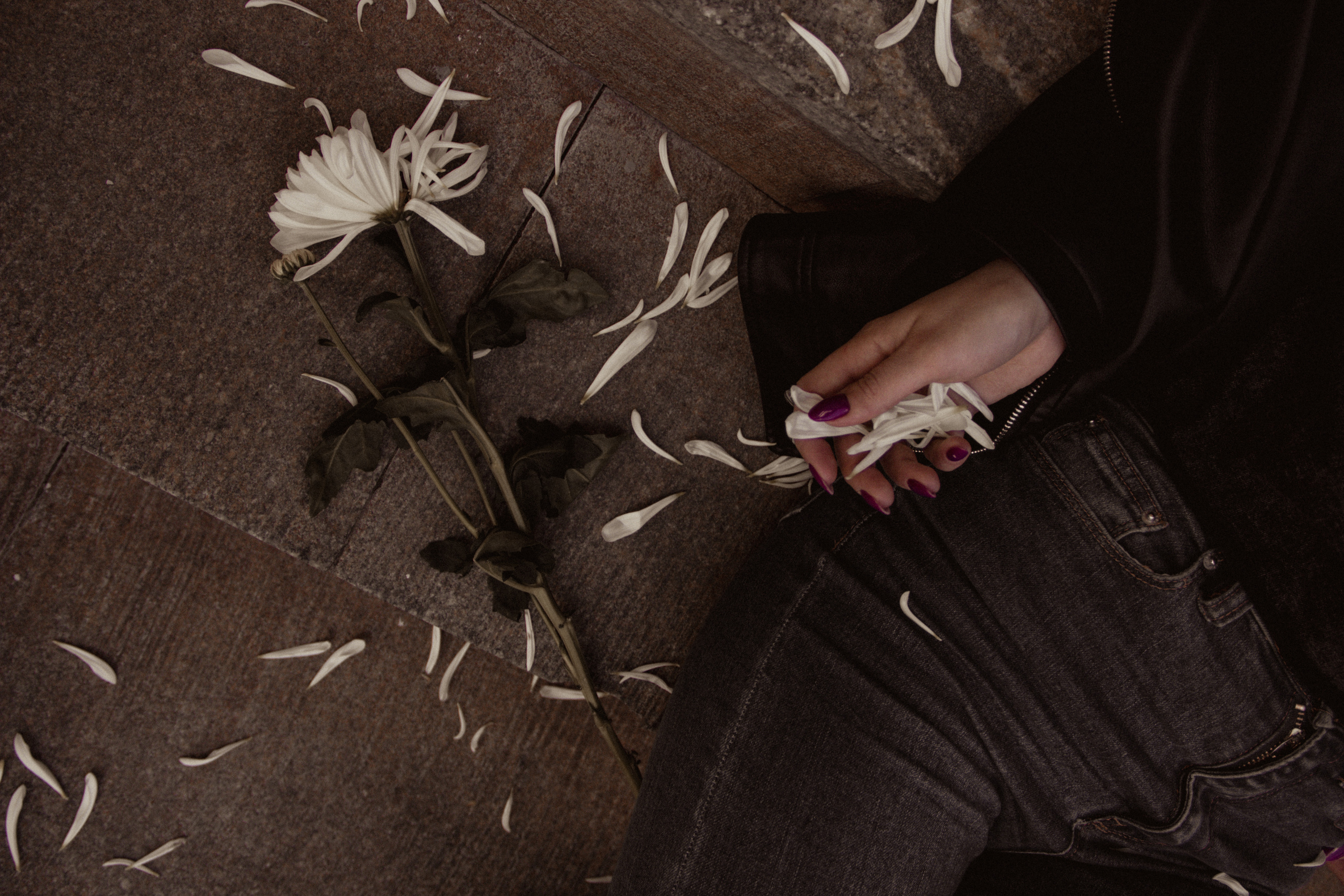 VERONIKA 2023 étude. Фотограф Санкт-Петербург, Новороссийск