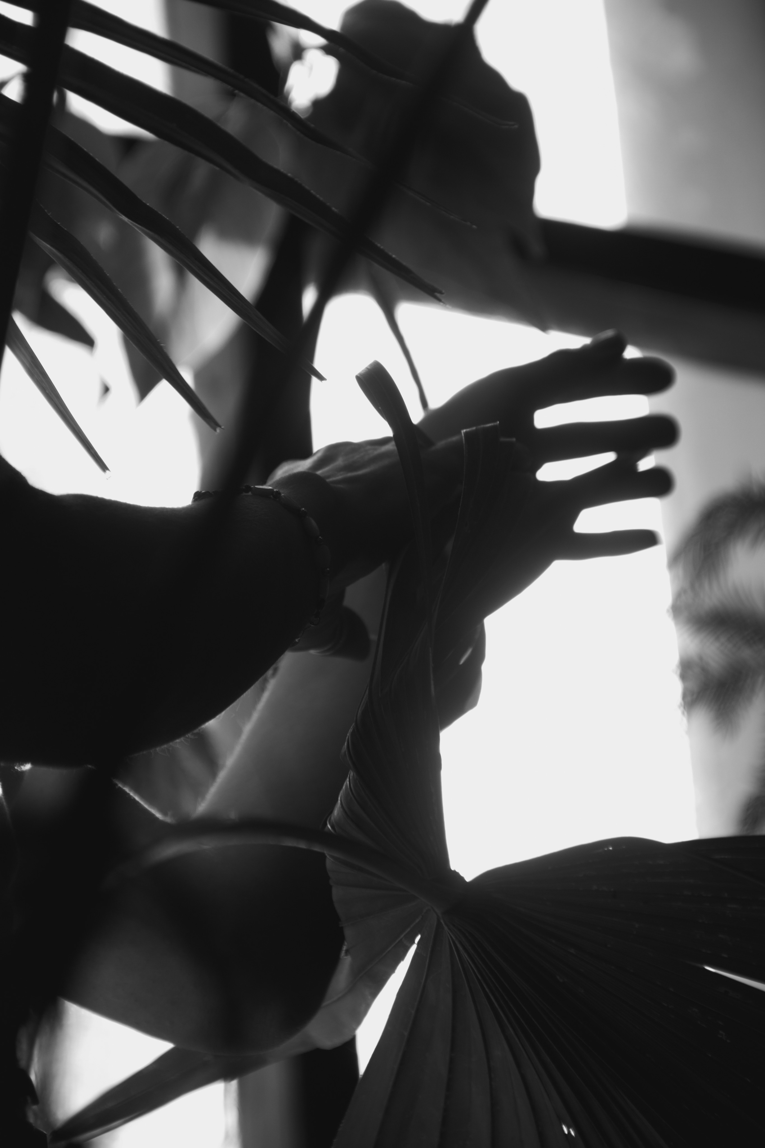 OLGA 2023 étude. Фотограф Санкт-Петербург, Новороссийск