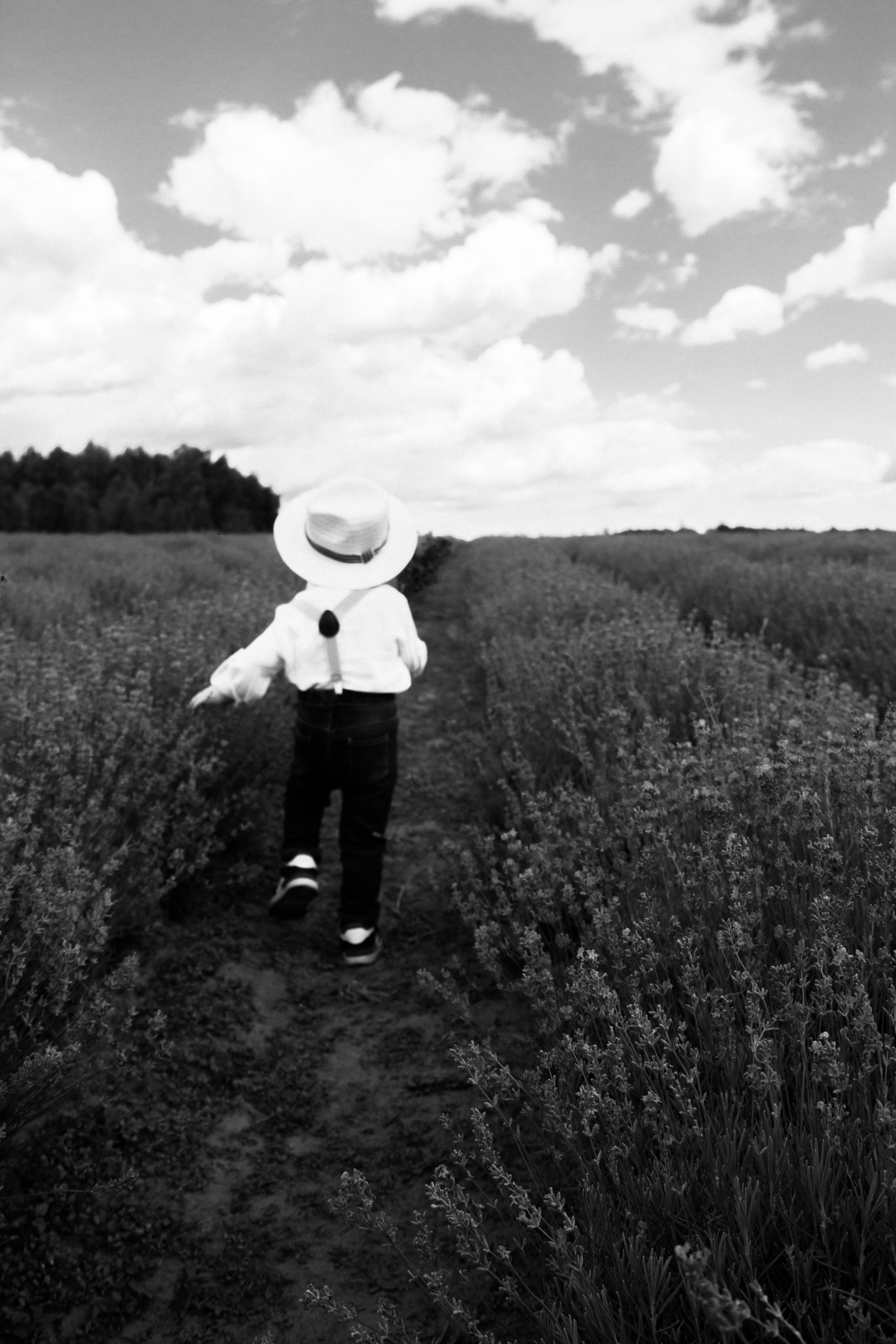 FROL 2023 étude. Фотограф Санкт-Петербург, Новороссийск