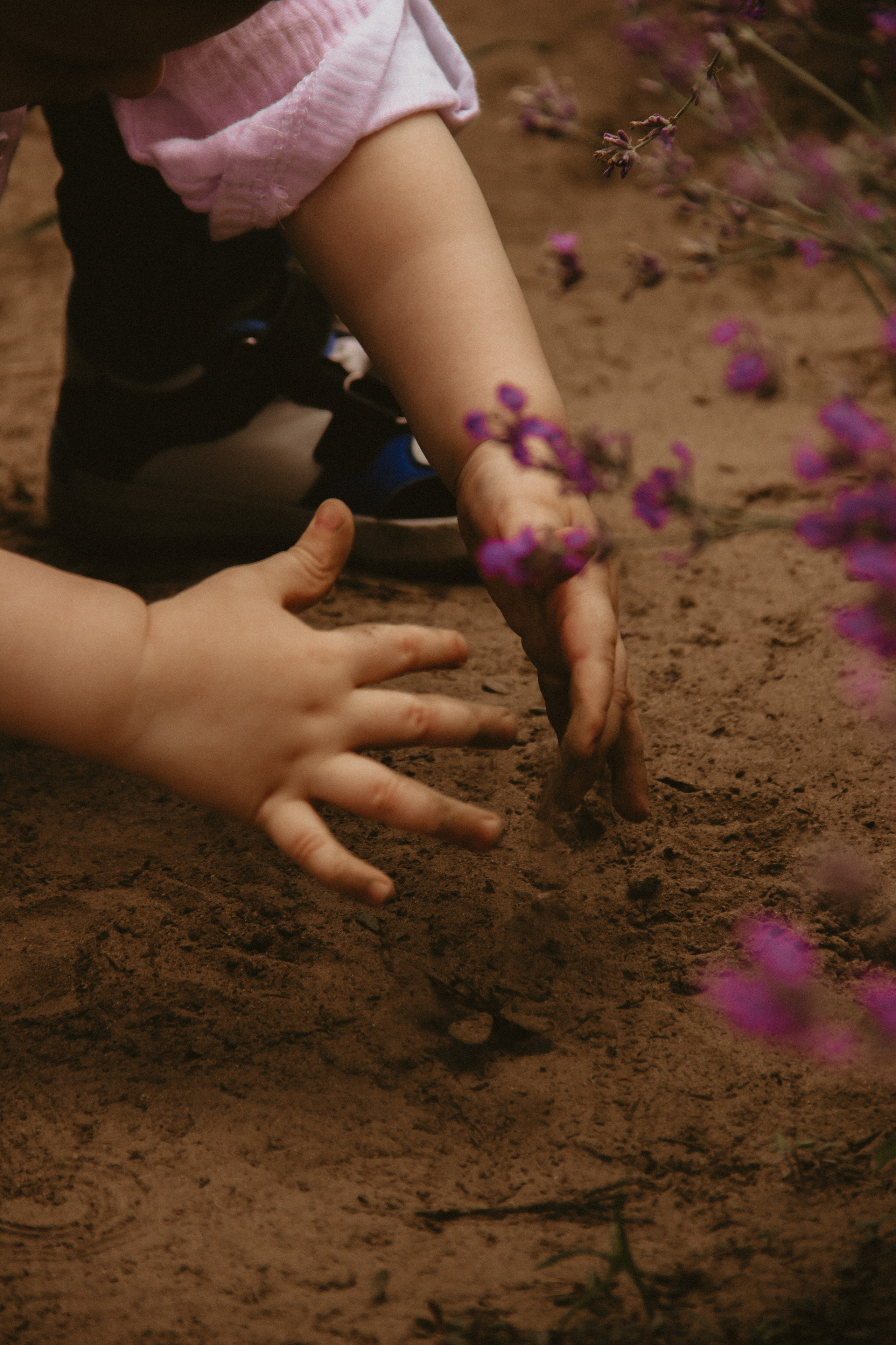 FROL 2023 étude. Фотограф Санкт-Петербург, Новороссийск