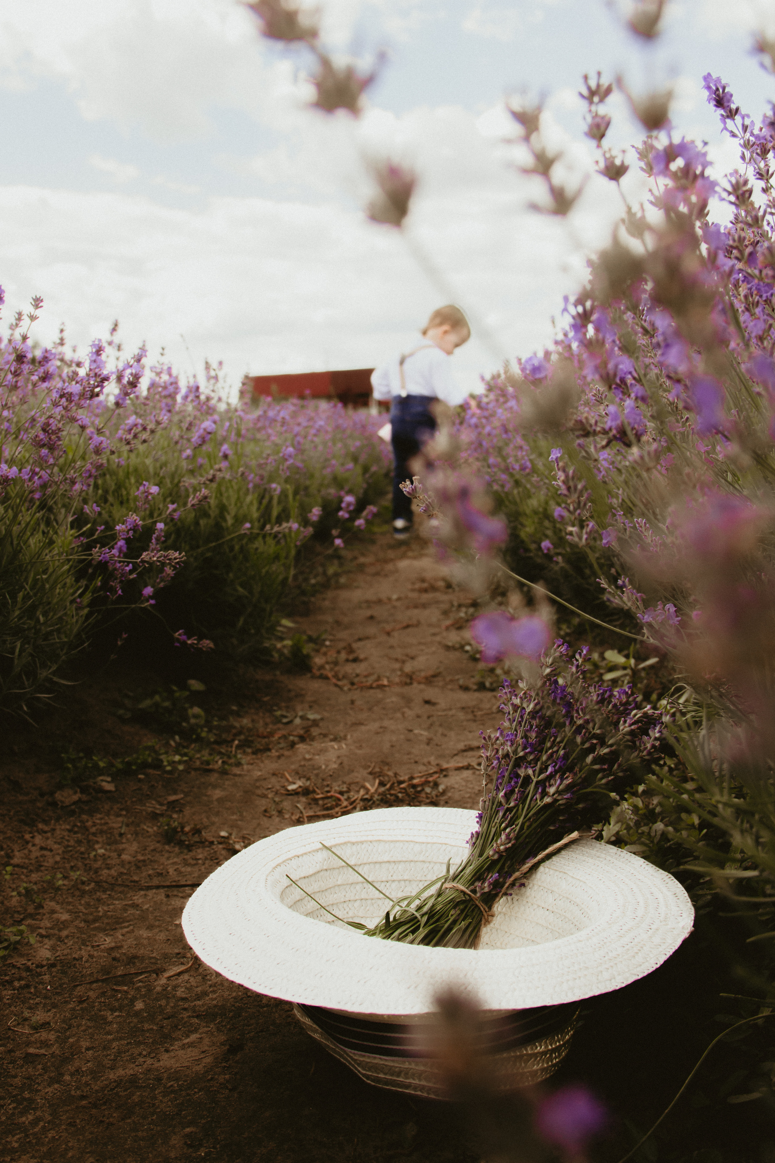FROL 2023 étude. Фотограф Санкт-Петербург, Новороссийск